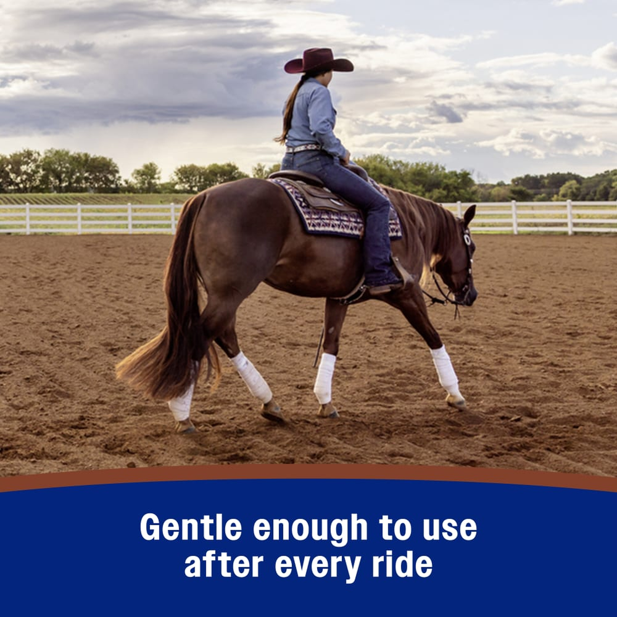 Farnam Leather New Easy-Polishing Glycerine Saddle Soap - Gentle enough to use after every ride