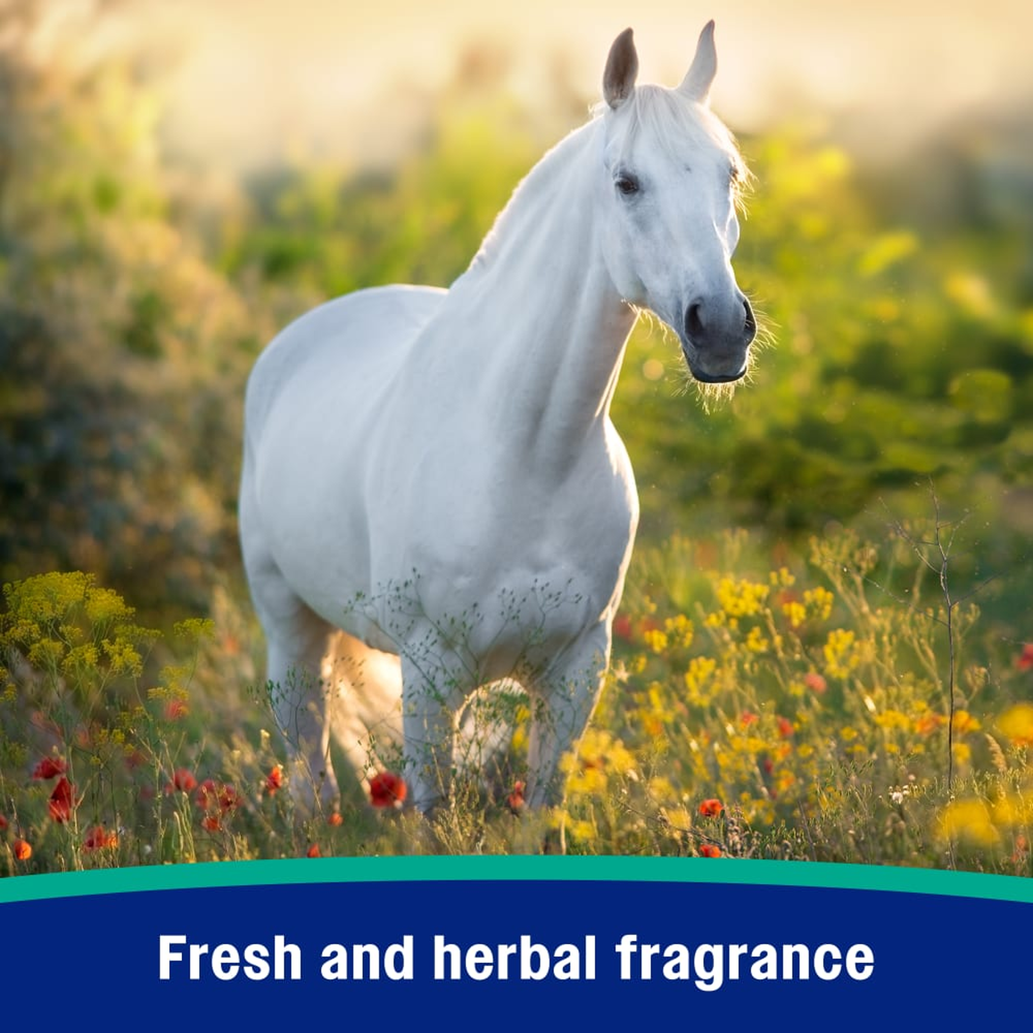 Farnam Nature's Defense Water-Based Insect Repellent - Fresh and herbal fragrance