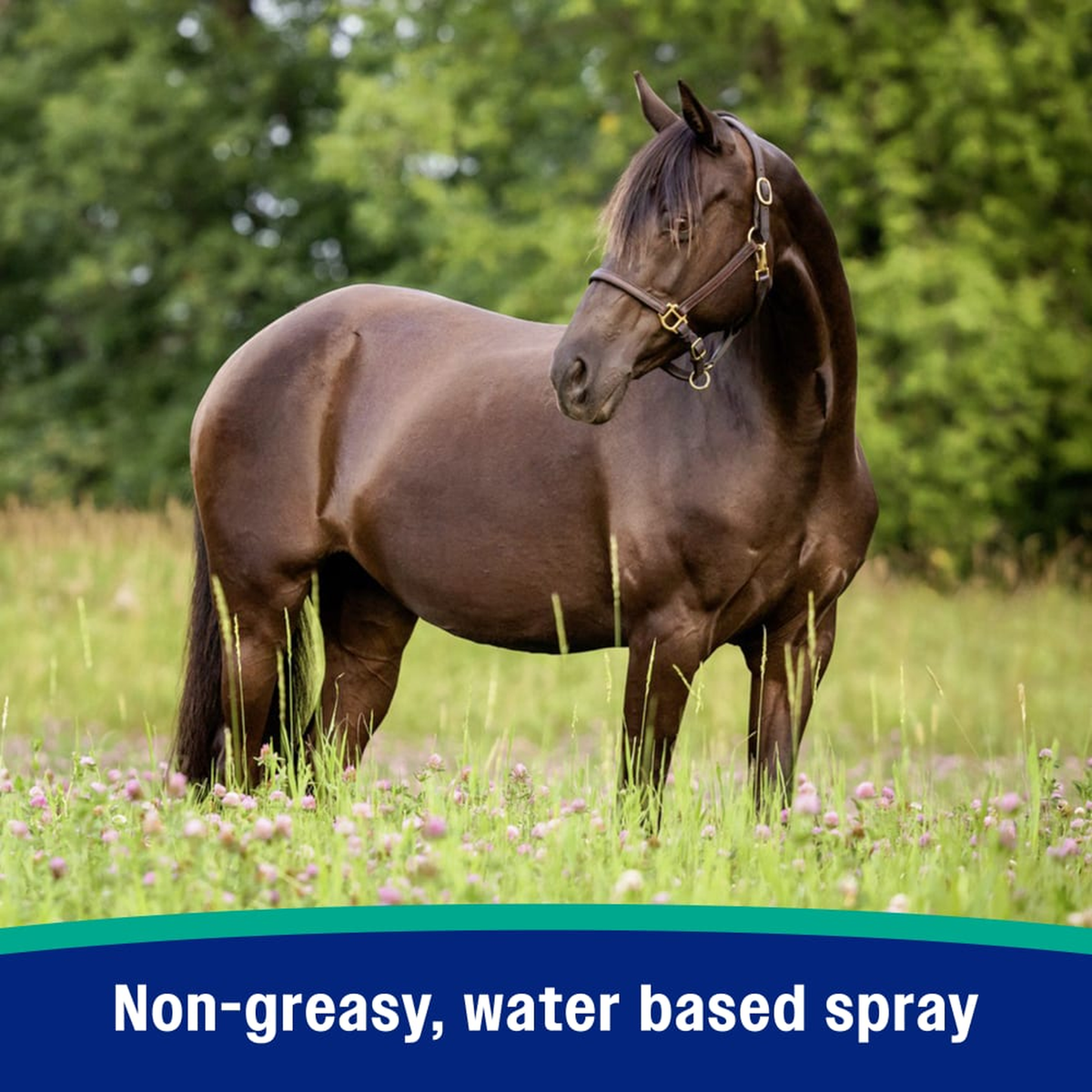 Farnam Nature's Defense Water-Based Insect Repellent - Non greasy and water based spray