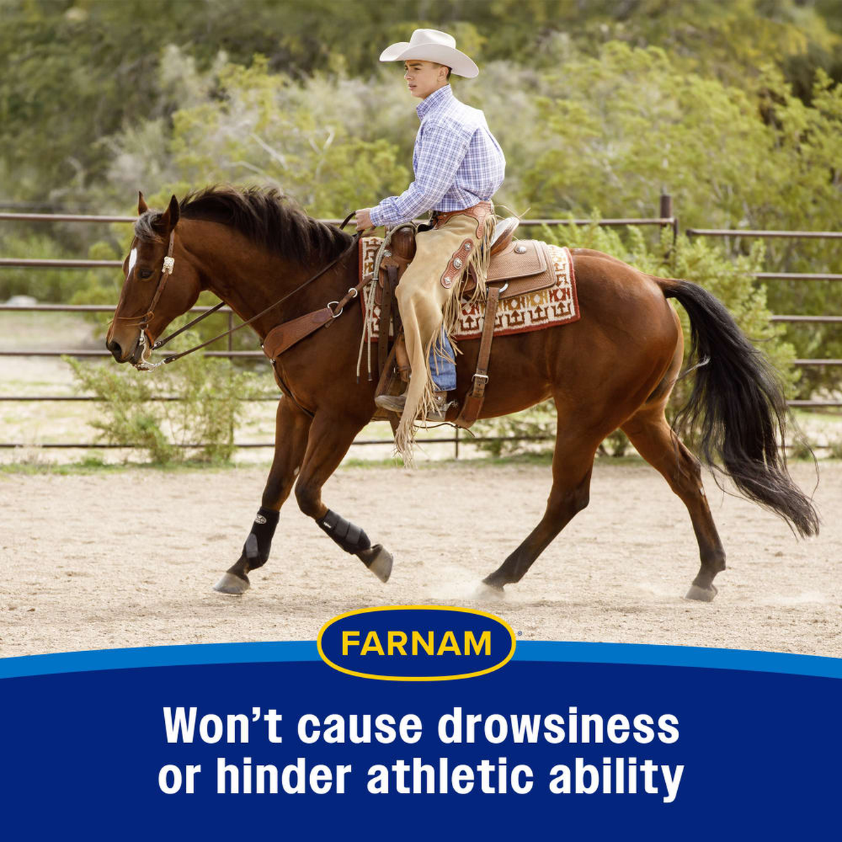 Farnam Quietex II Focusing & Calming Paste - Won't cause drowsiness or hinder athletic ability