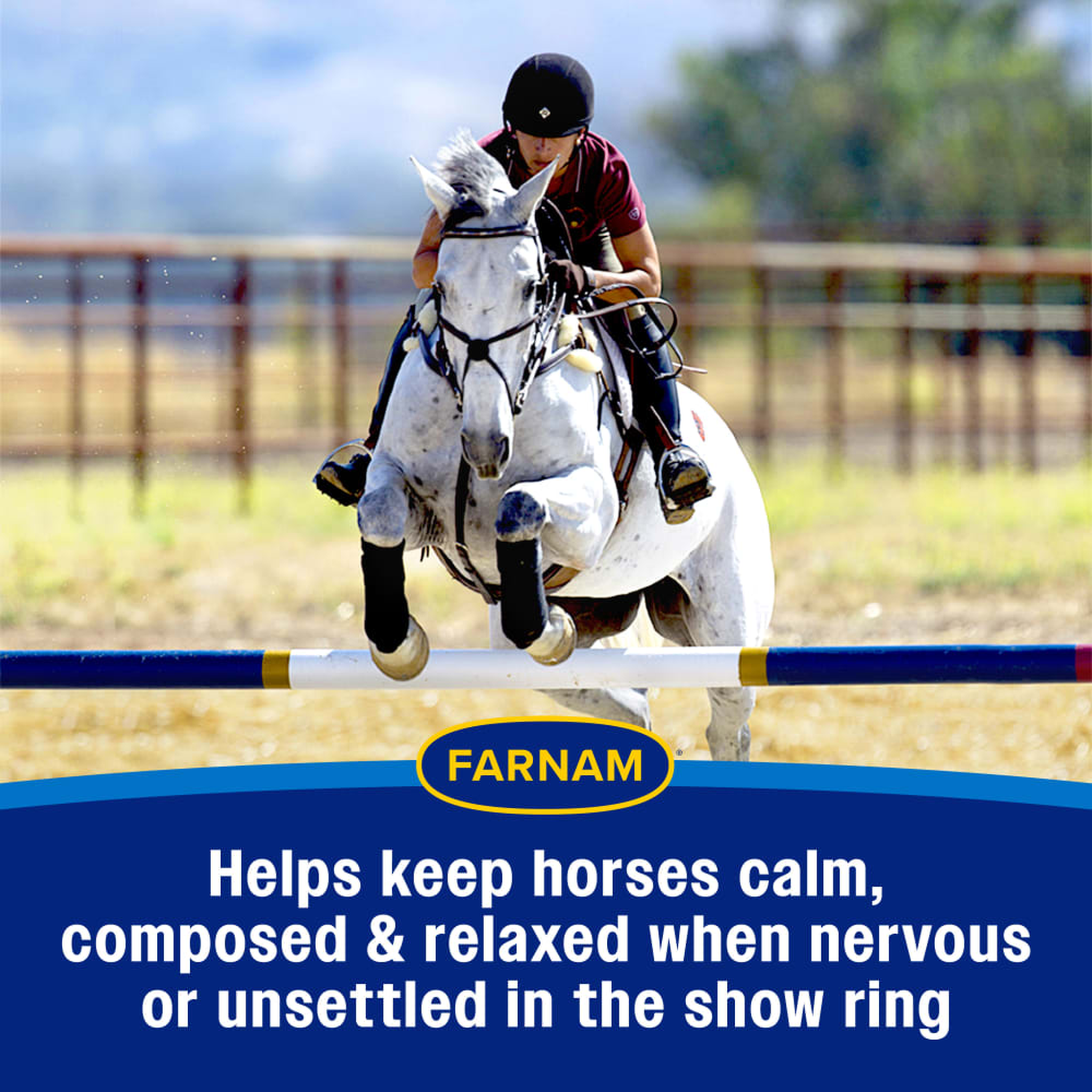 Helps keep horses calm, composed and relaxed in the show ring
