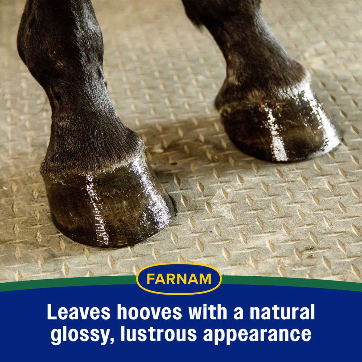 Farnam Rain Maker Triple Action Hoof Moisturizer - Leaves hoves with a natural glossy appearance