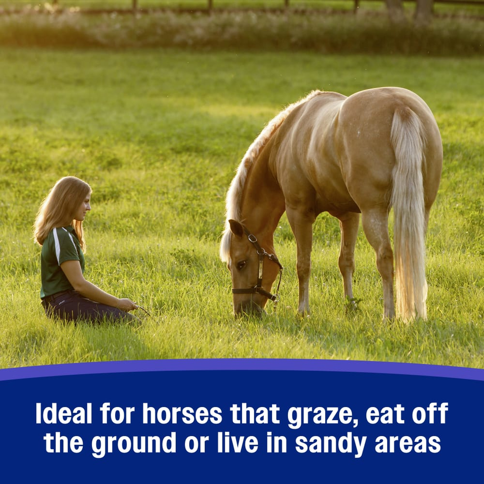 Farnam SandClear Natural Psyllium Crumbles - Ideal for horses that graze, eat off the ground or live in sandy areas