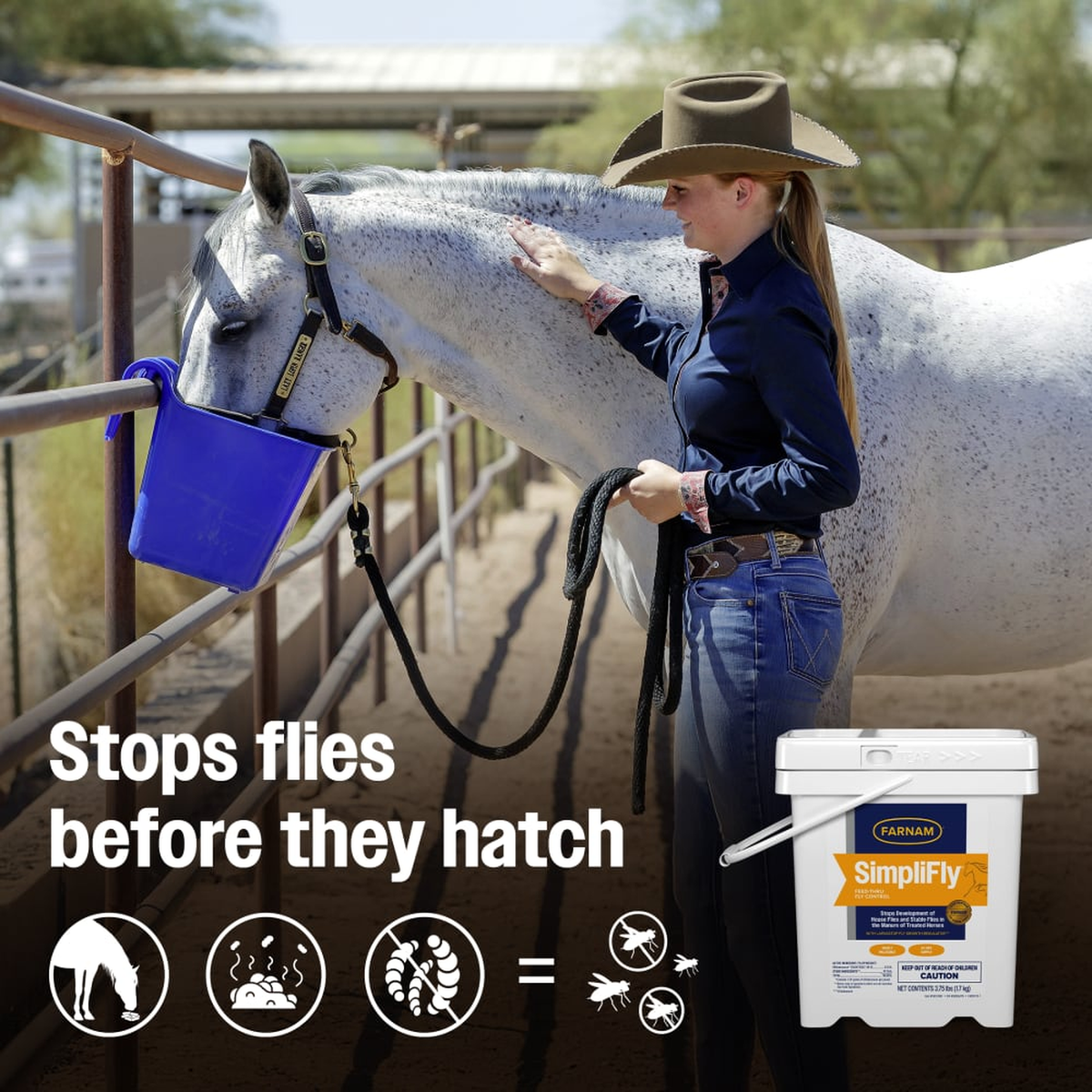 Cowgirl feeding a gray horse with SimpliFly bucket and text: stops flies before they hatch