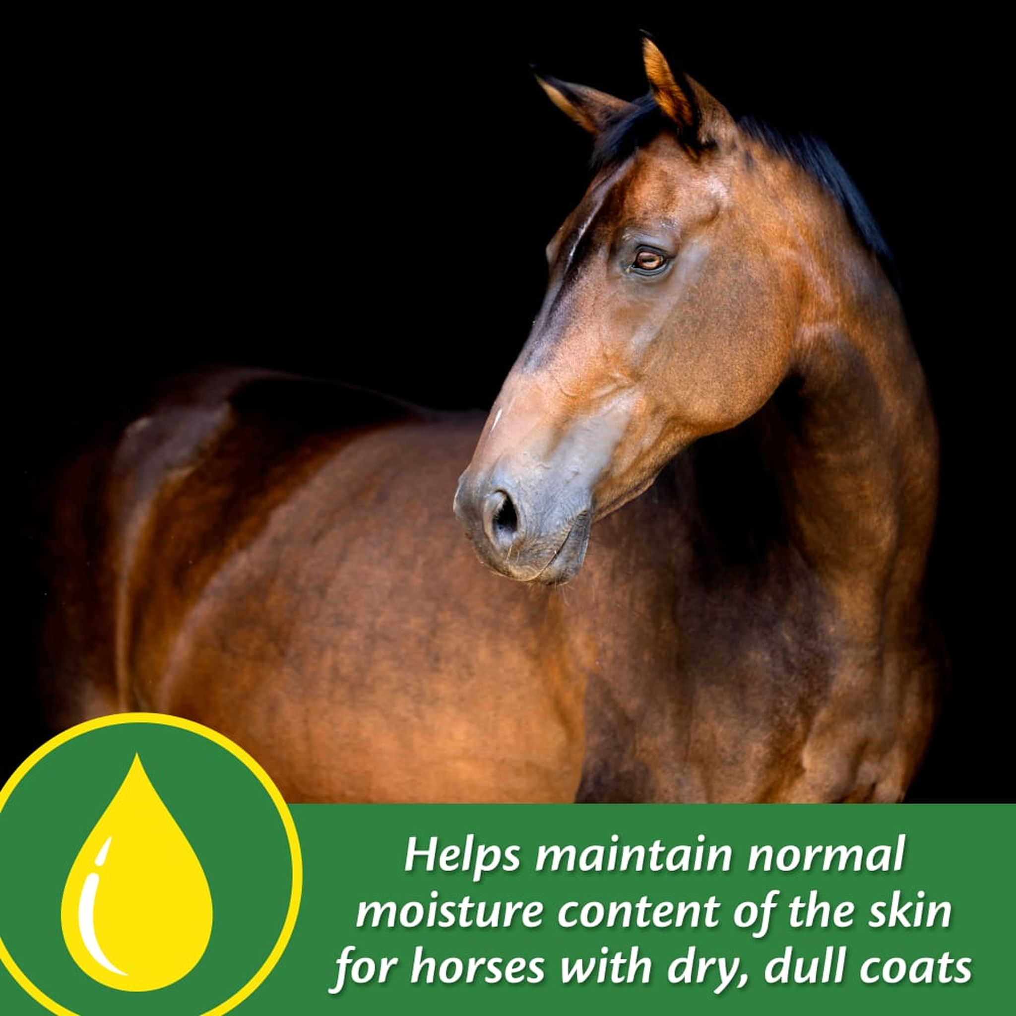 Farnam Super 14 Healthy Skin & Coat Supplement (3)
