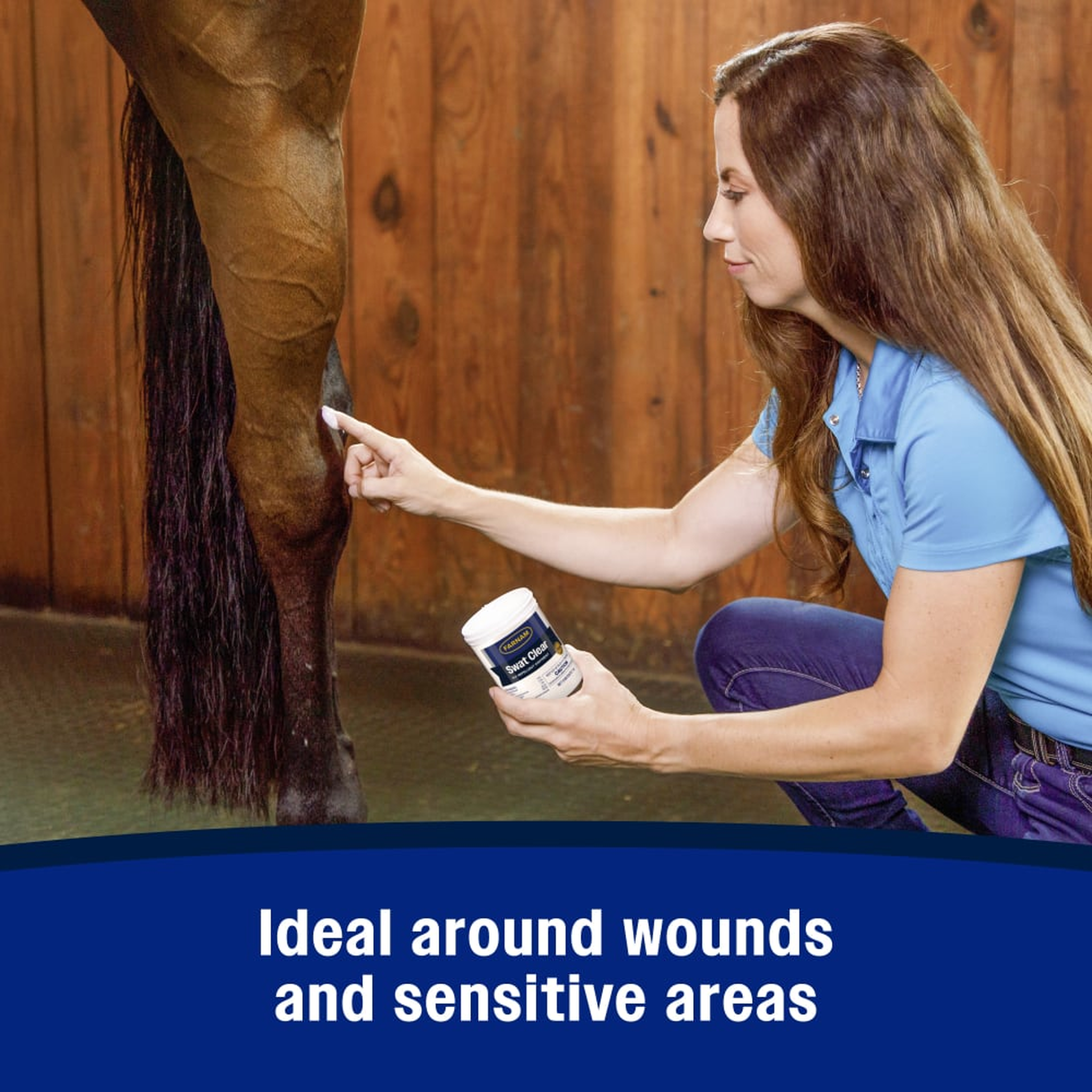 Farnam SWAT Fly Repellent Ointment (2)