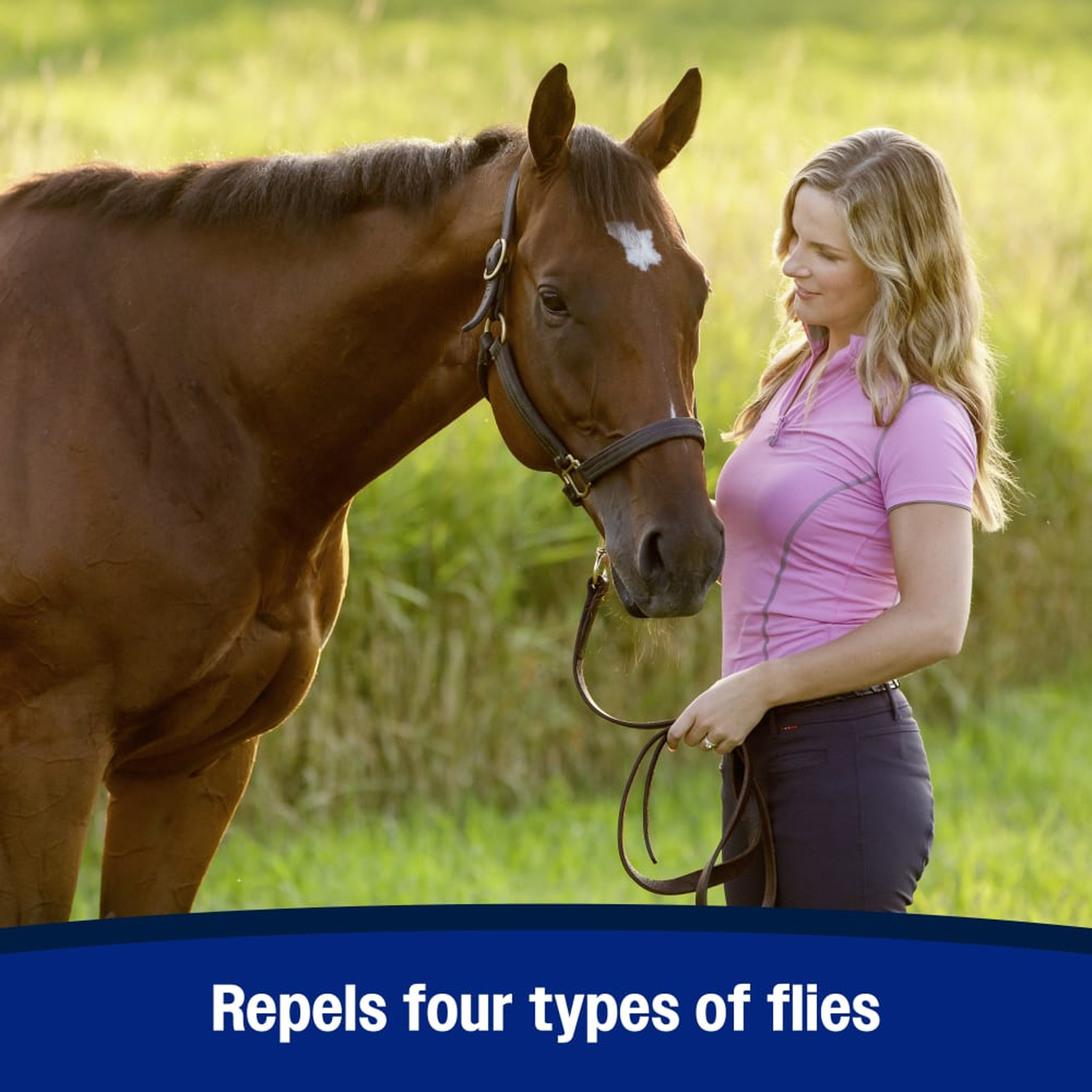 Farnam SWAT Fly Repellent Ointment (3)