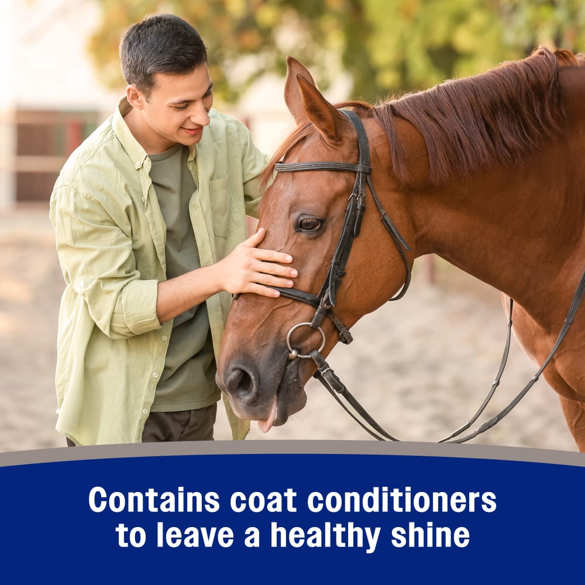 Man stroking a bay horse - Tri-Tec 14 contains coat conditioners to leave a healthy shine