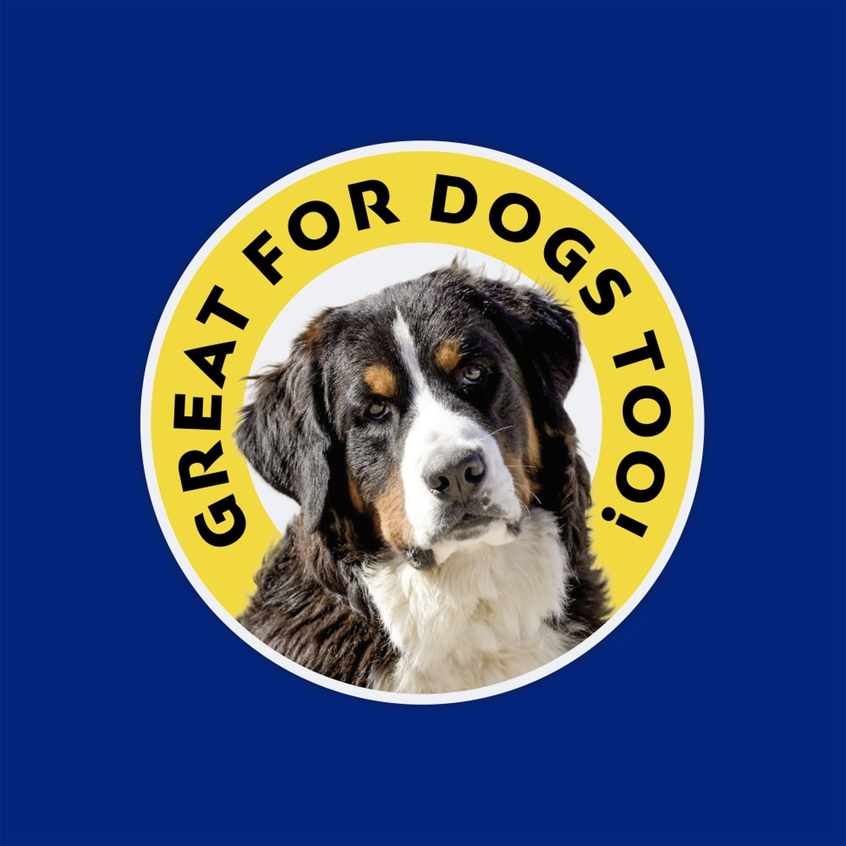 Farnam Vetrolin White 'N Brite Shampoo - Great for dogs too