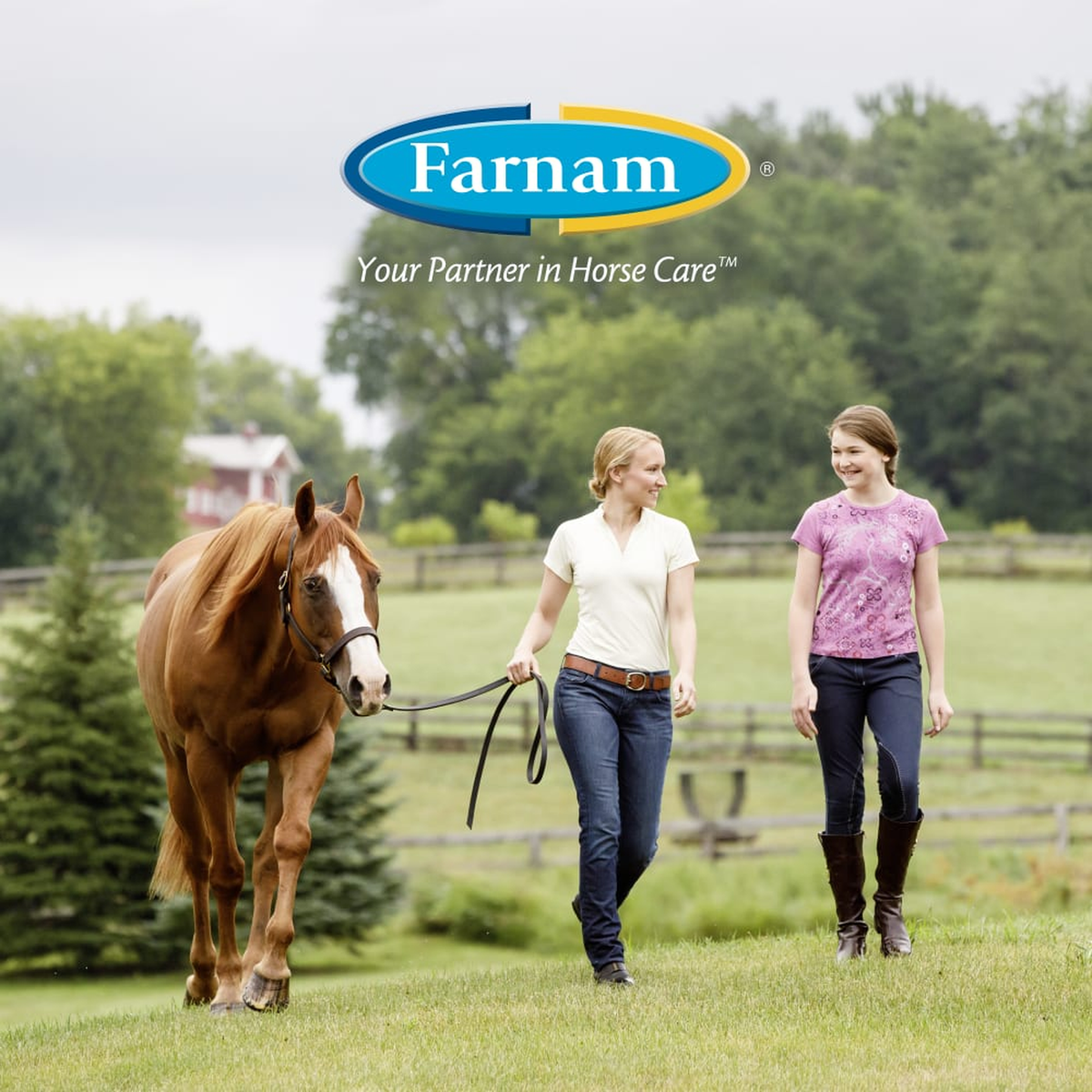 Farnam Vetrolin White 'N Brite Shampoo being used on a horse
