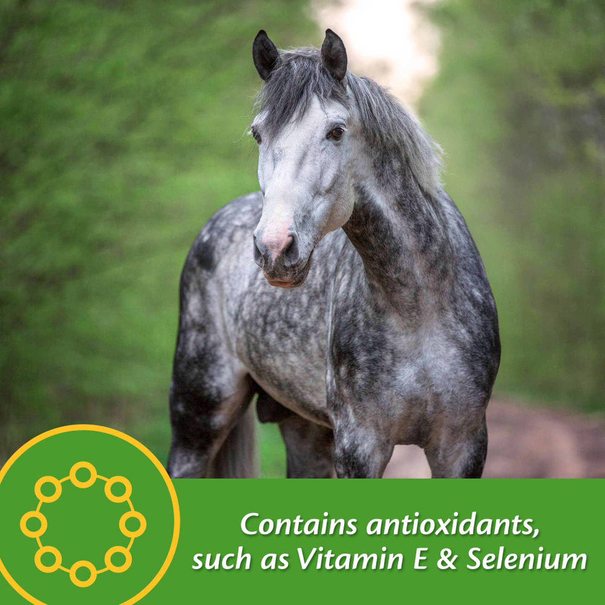 Farnam Vita Plus Balanced Multi-Vitamin & Mineral Supplement (5)
