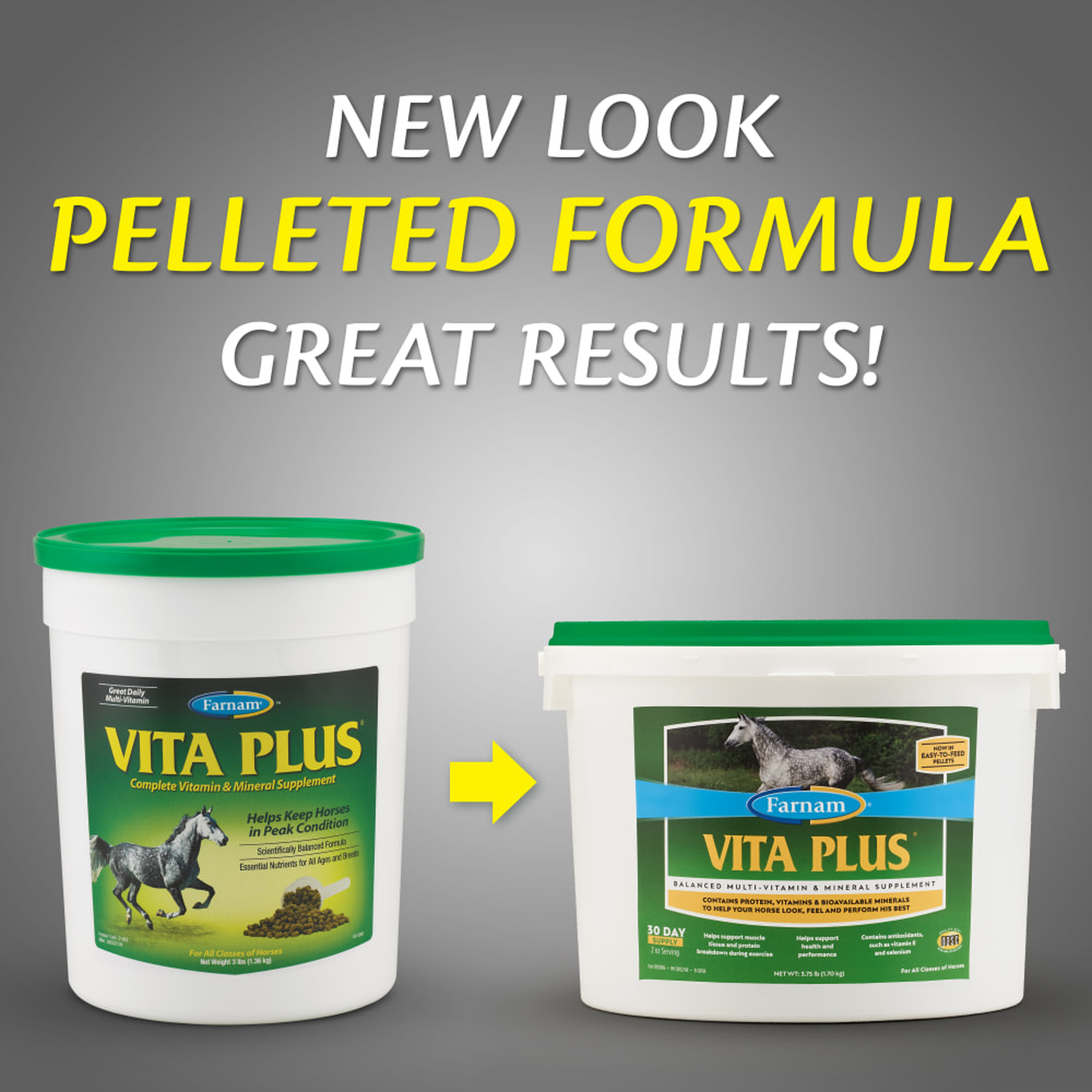Farnam Vita Plus Balanced Multi-Vitamin & Mineral Supplement (3)
