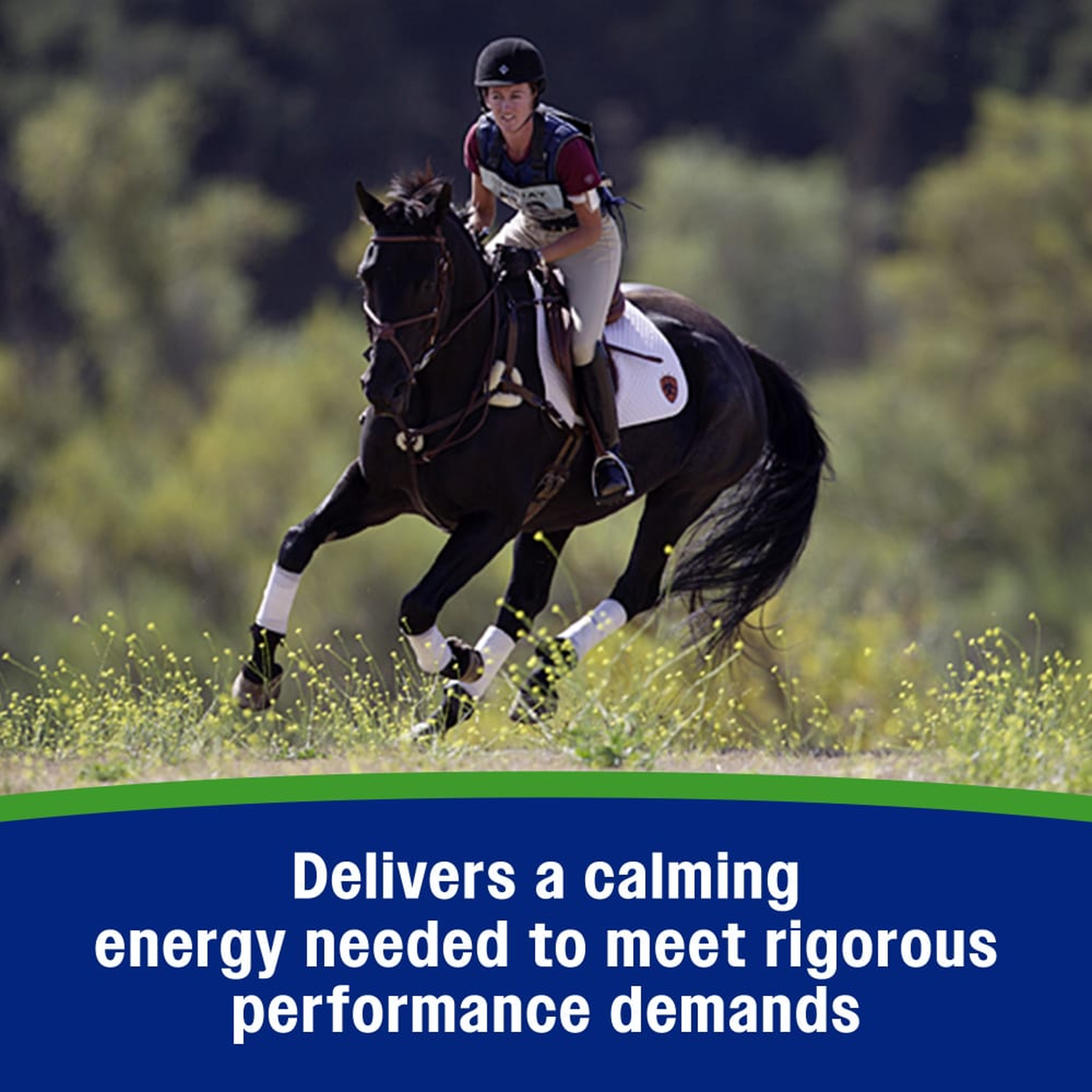 Farnam Weight Builder Equine Weight Supplement - Delivers a calming energy needed to meet rigorous performance demands