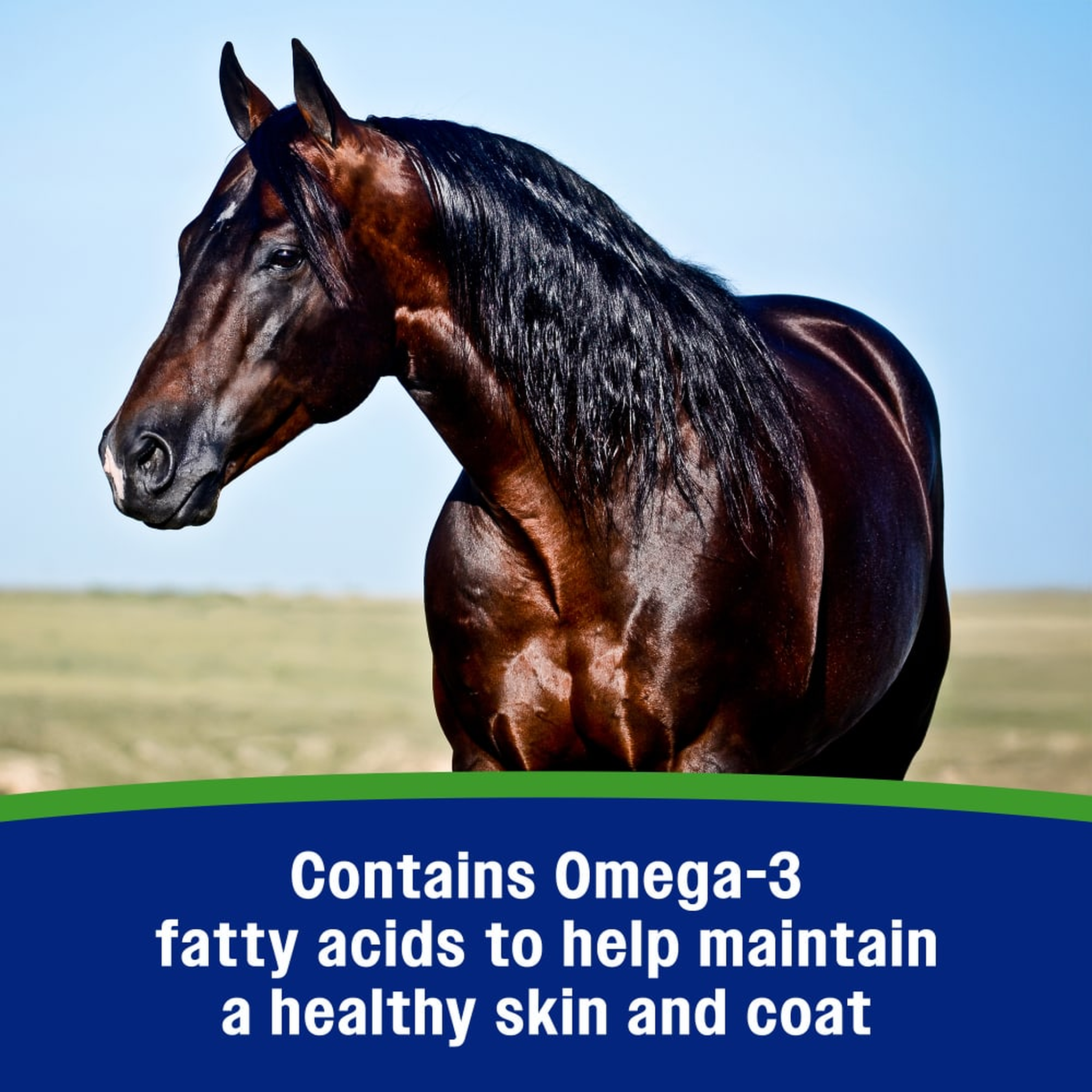 Farnam Weight Builder Equine Weight Supplement - Contains Omega-3 fatty acids to help maintain a healthy skin and coat