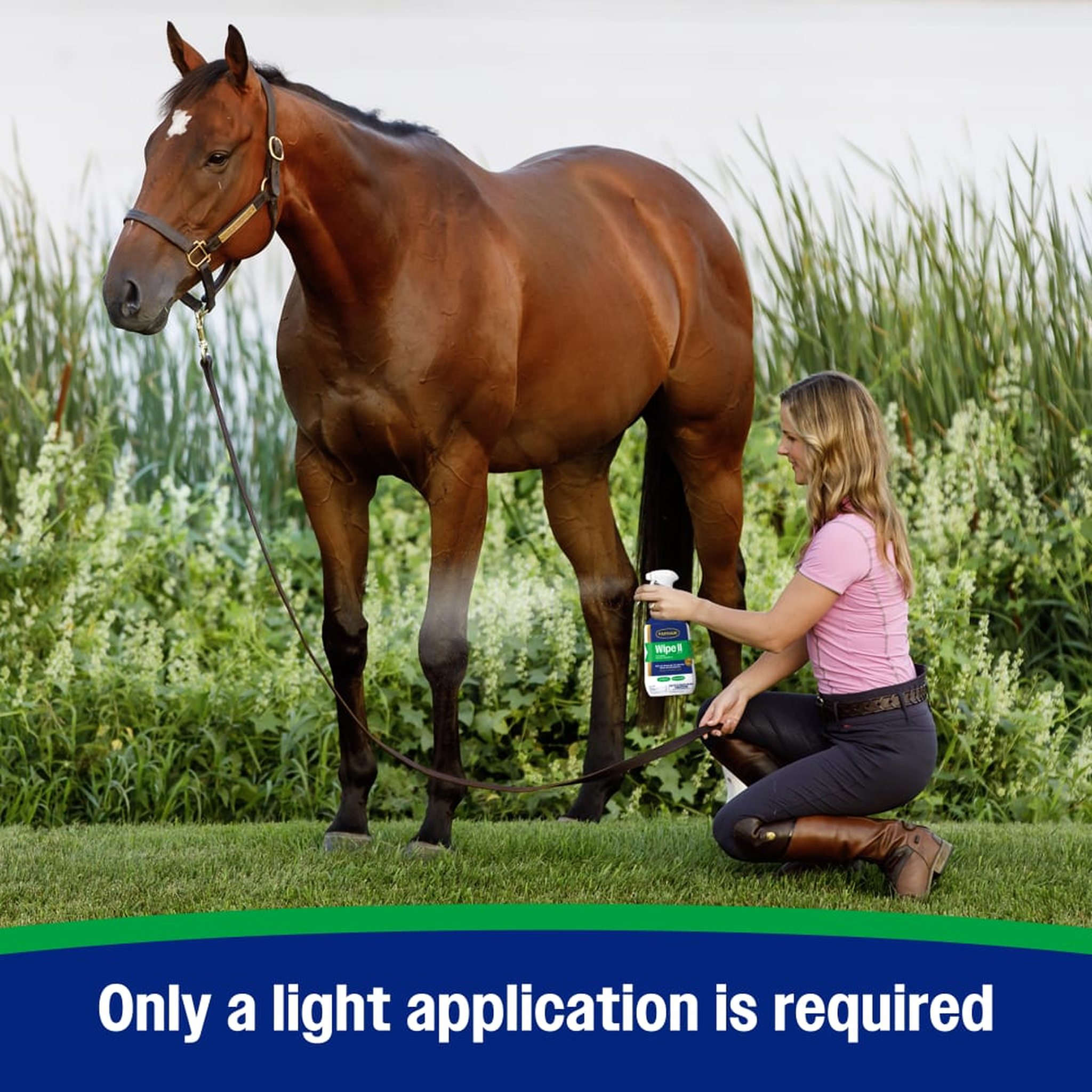 Farnam Wipe II Brand Fly Spray with Citronella (4)