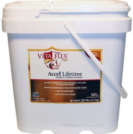 Accel Lifetime Health and Wellness Pro