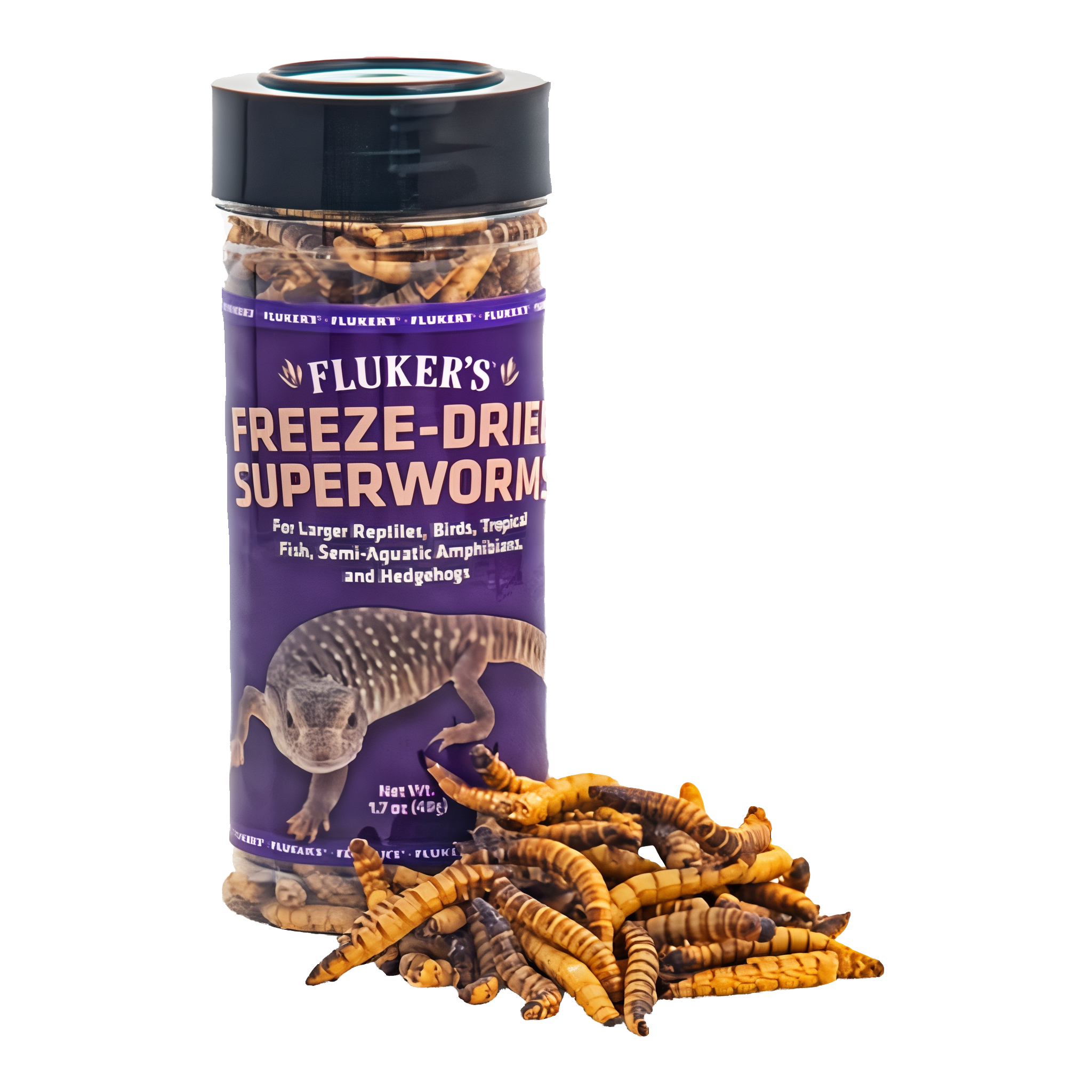 Flukers Freeze Dried Superworms