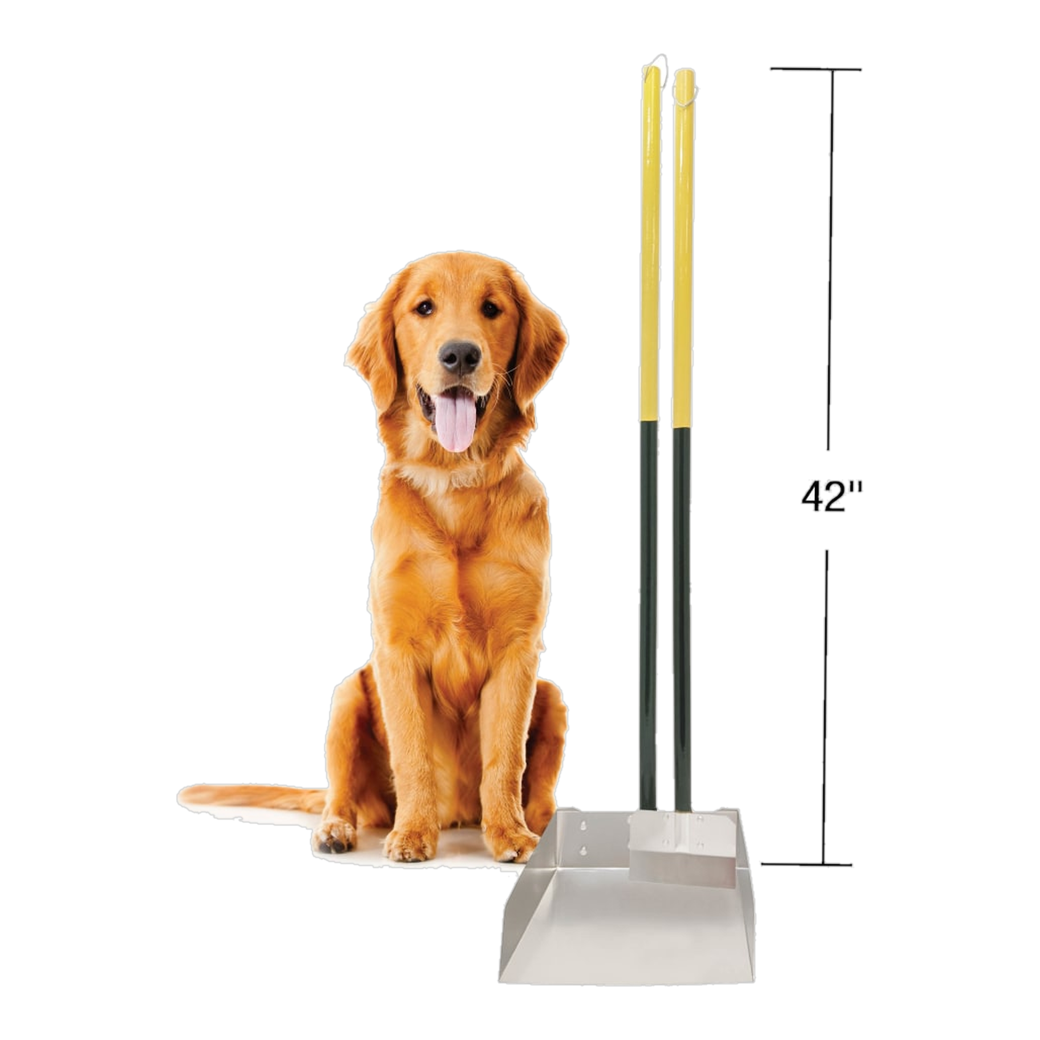 Four Paws Wee-Wee Dog Poop Spade and Scooper Set size and dimensions