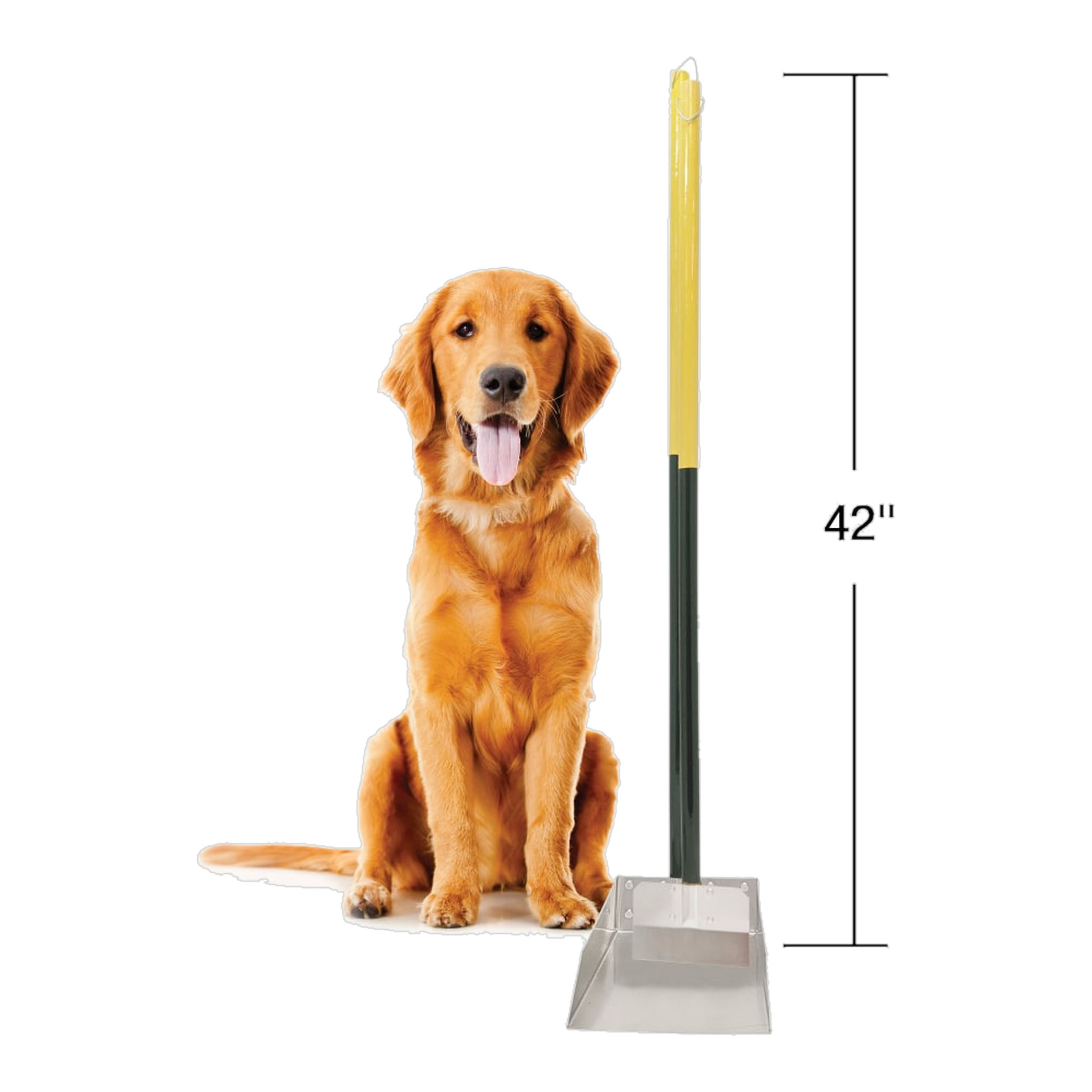 Four Paws Wee-Wee Dog Poop Spade and Scooper Set size and dimensions