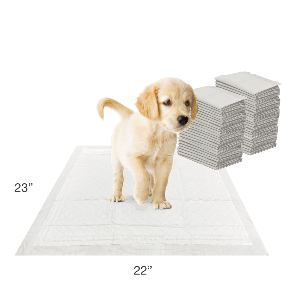 Puppy standing on a 22 by 23 inch Wee-Wee pad next to a stack of pads