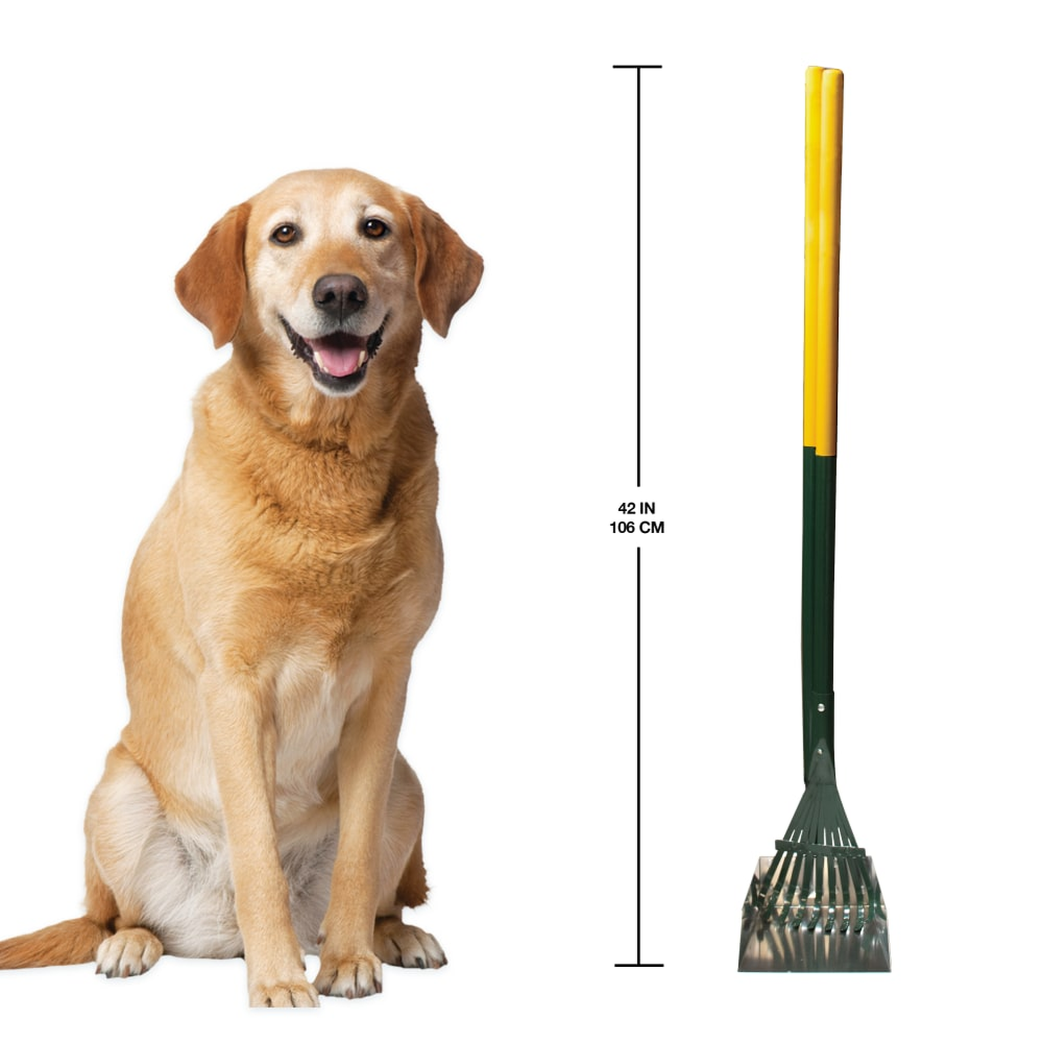 Four Paws Wee-Wee Dog Waste Rake and Pan Set product details