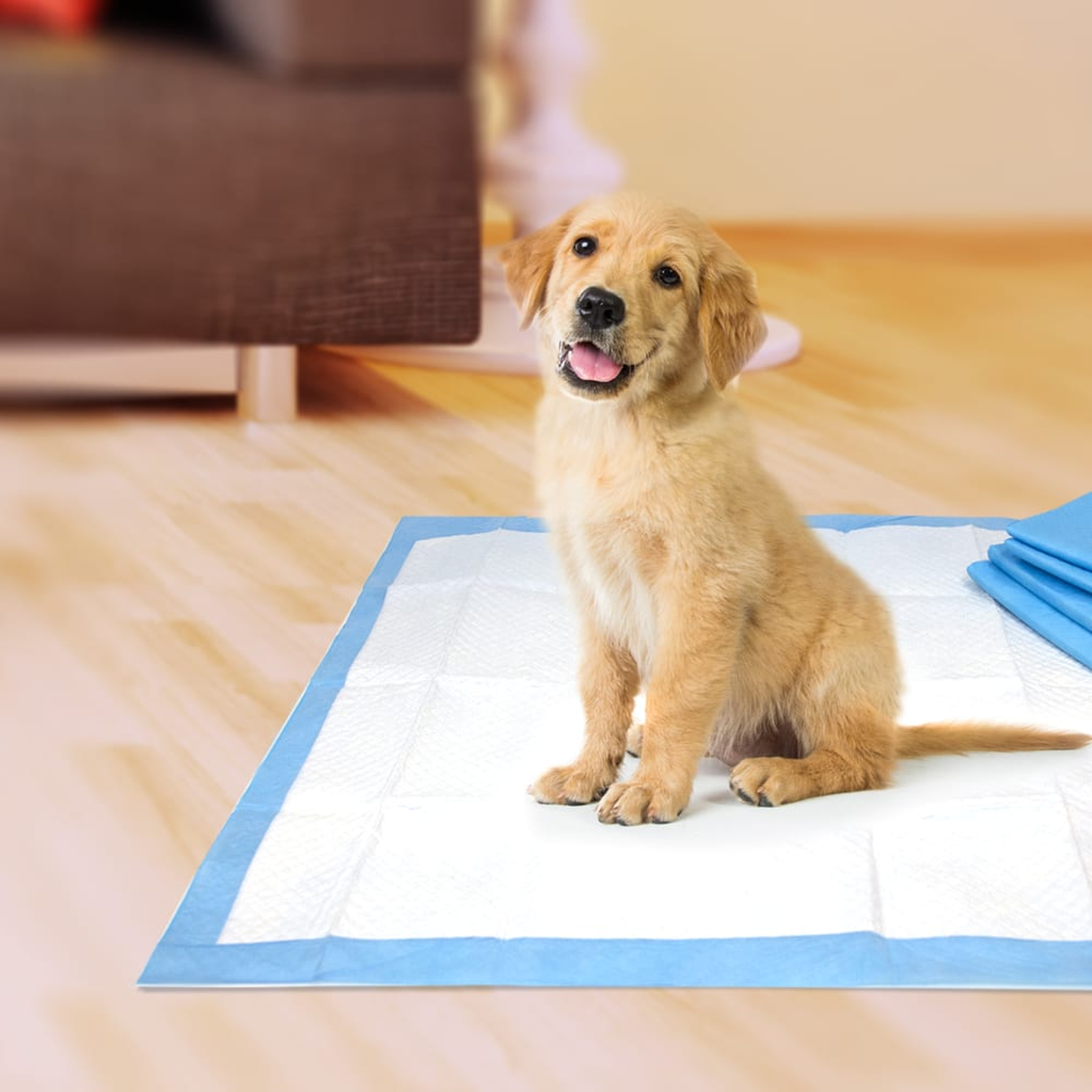 Four Paws Wee-Wee Pads 14 Count in use