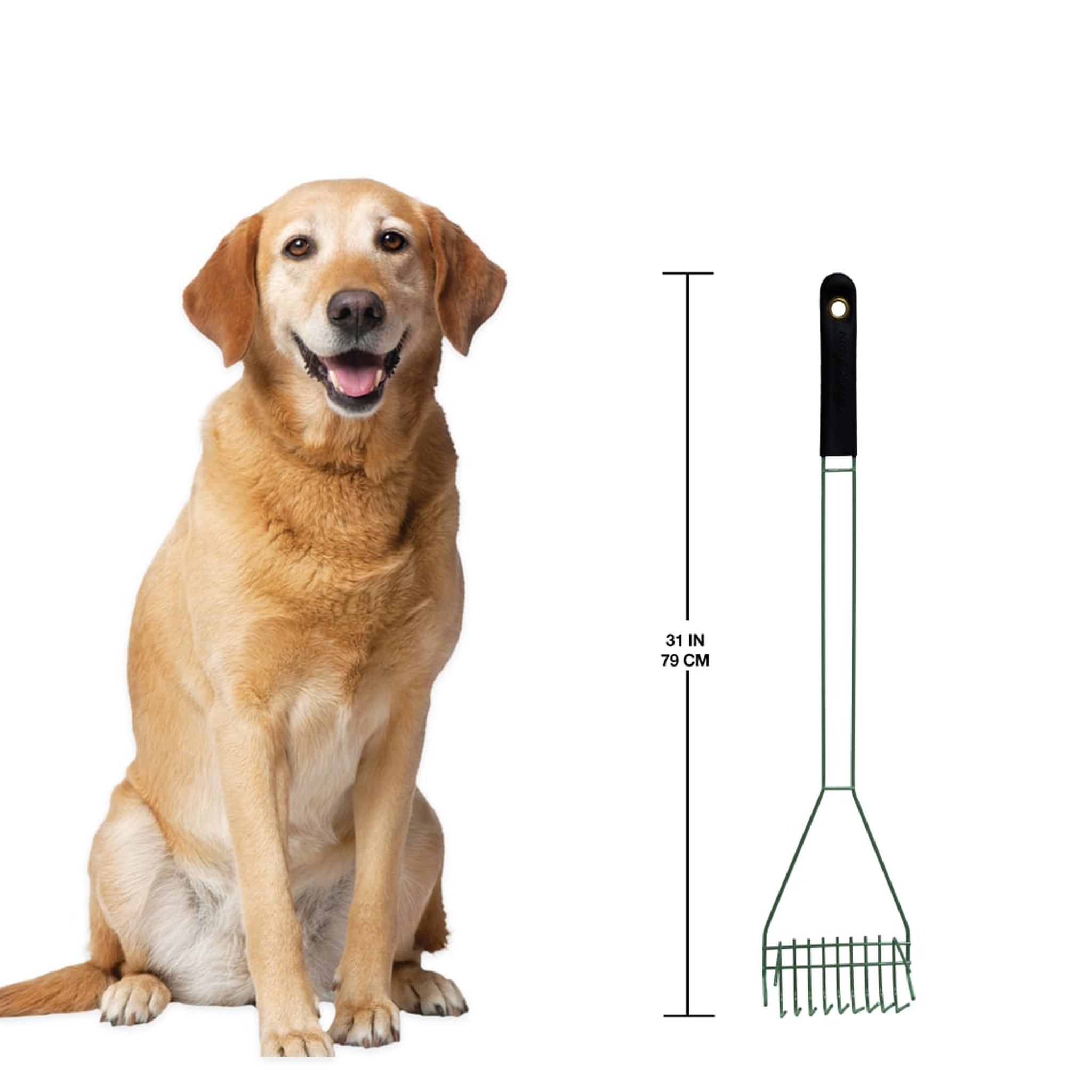 Four Paws Wee-Wee Wire Rake Dog Pooper Scooper for Grass product details