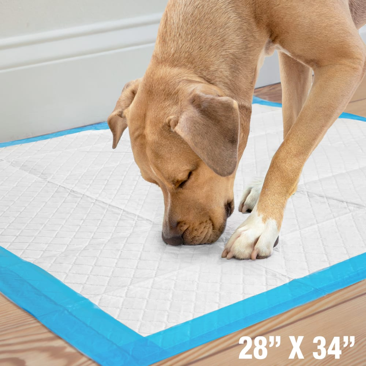 X-Large pad dimensions 28 x 34 inches