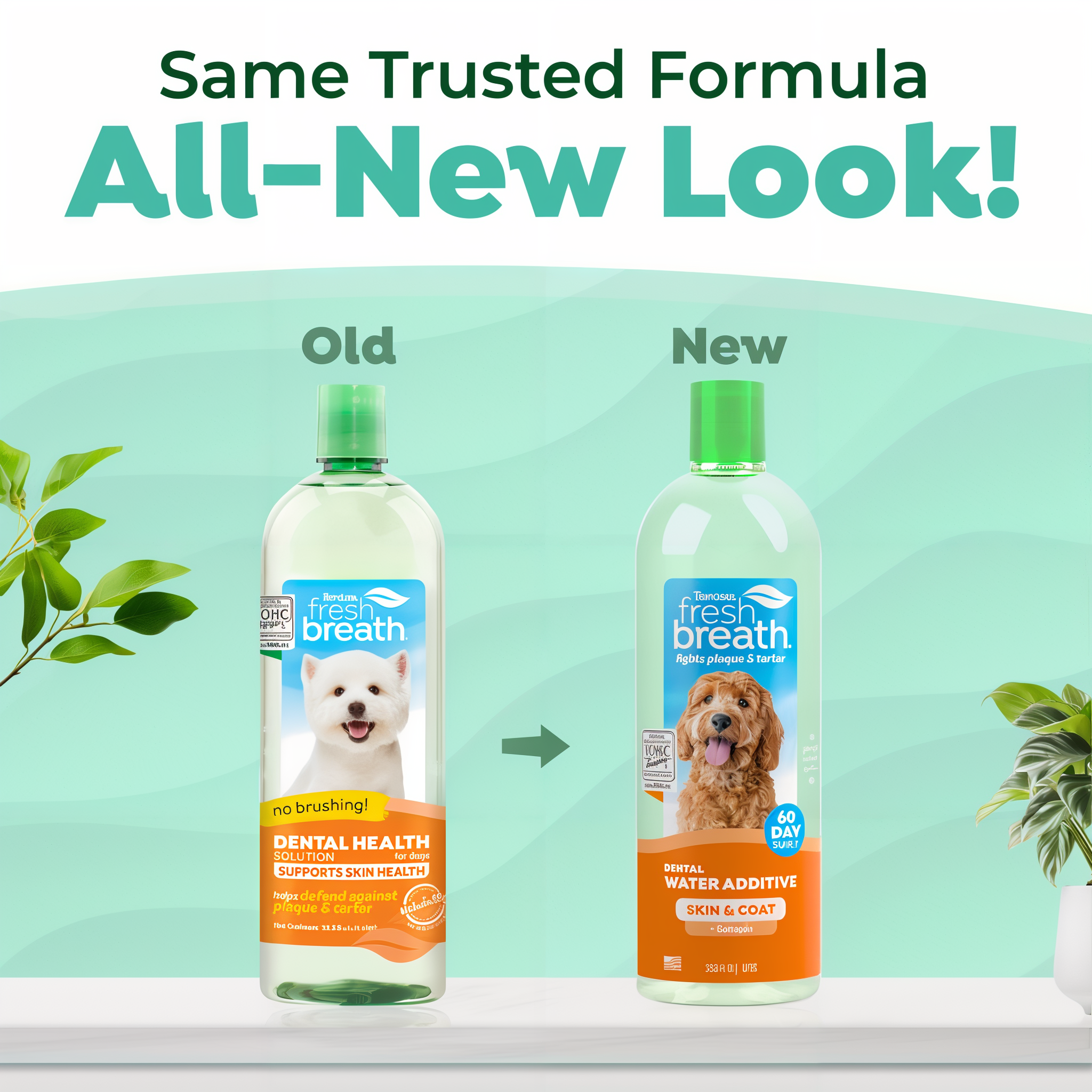 Two bottles of TropiClean Fresh Breath oral care water additive, showing old and new packaging designs with green caps.