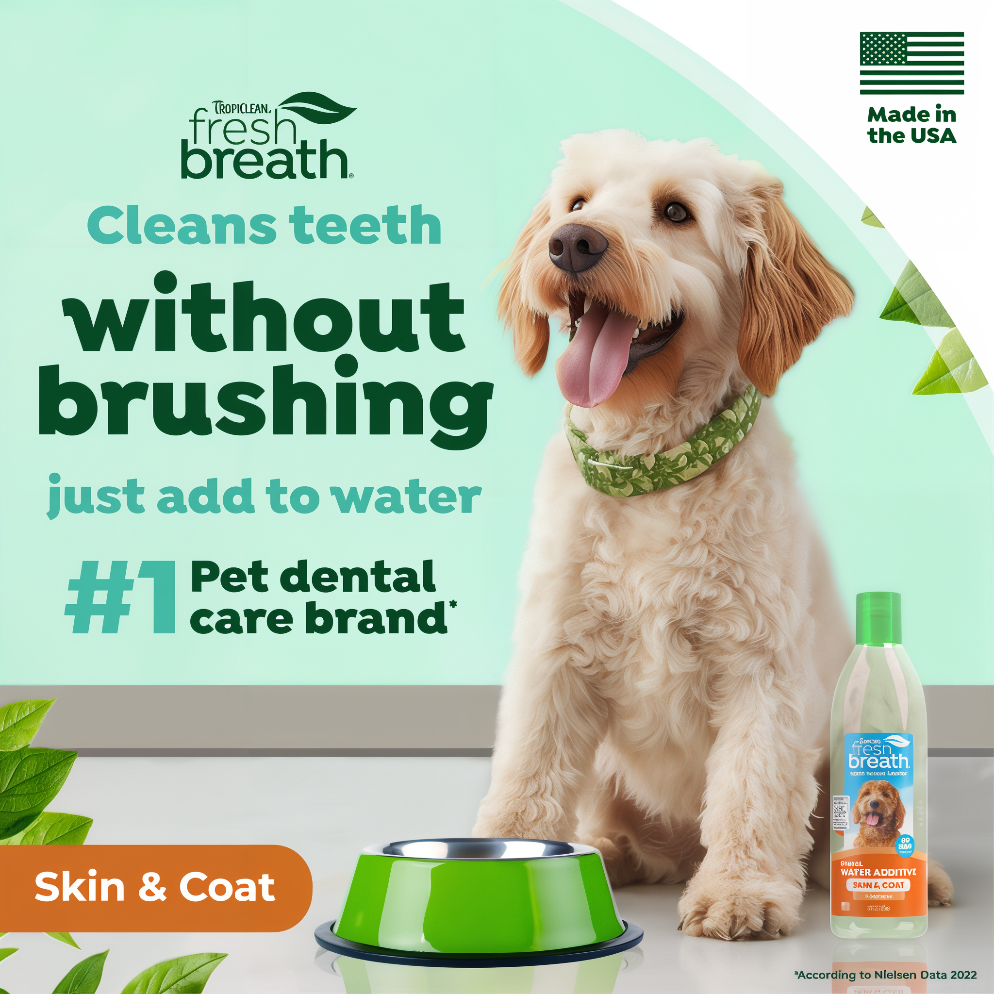 Dog sitting next to a bottle of  TropiClean fresh breath water additive for dogs with text about dental care.
