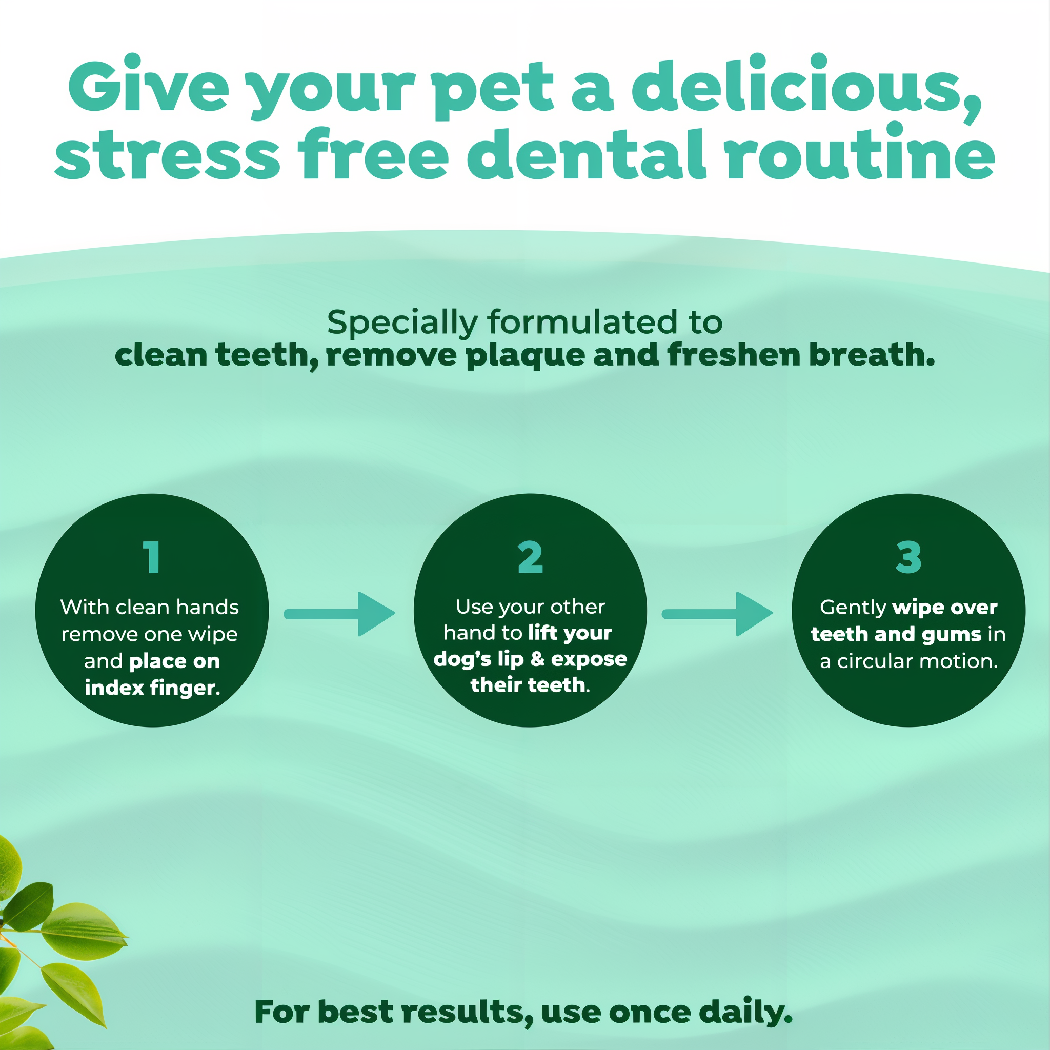 TropiClean Fresh Breath Finger Dental Wipes for Pets. Instructions for a pet dental care routine