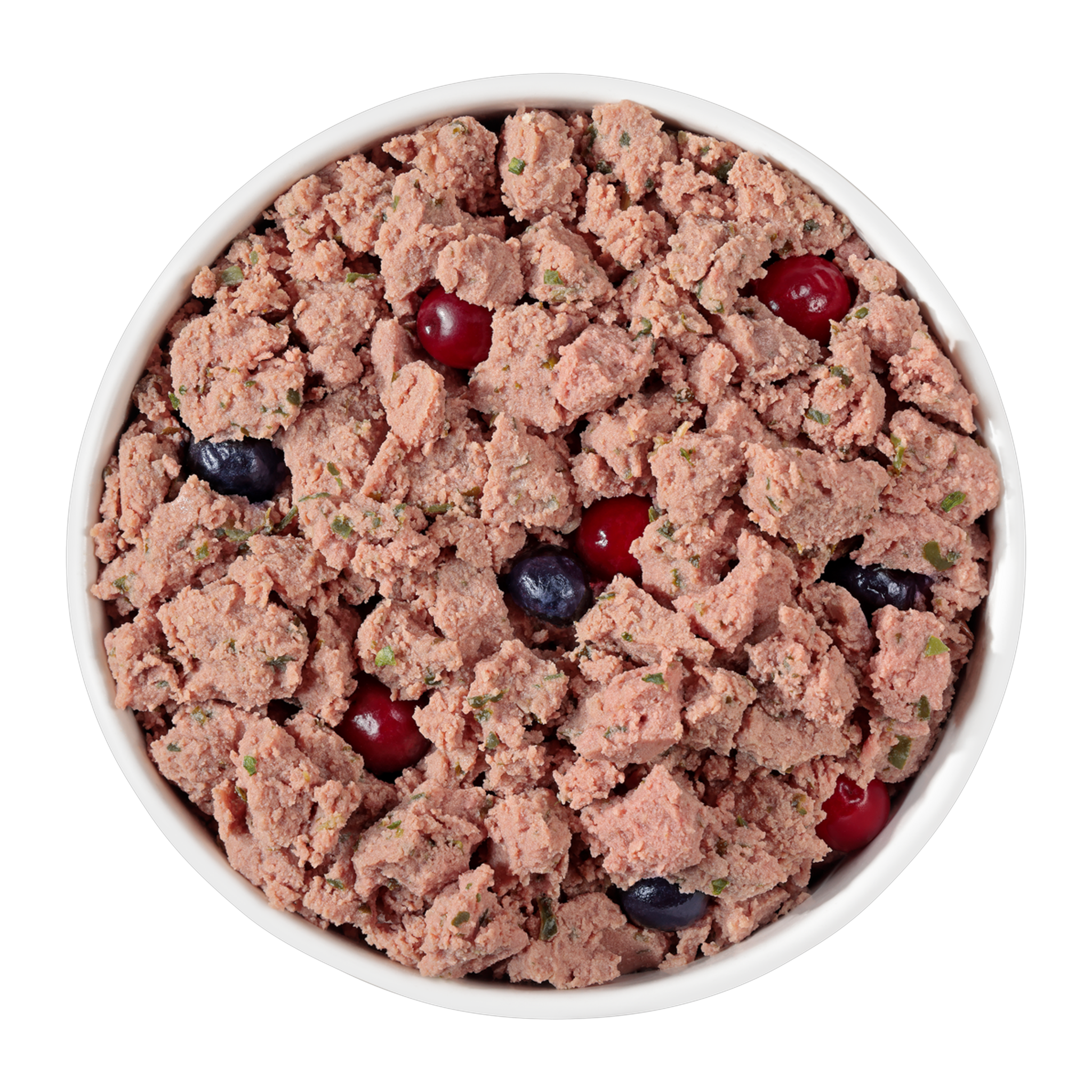 Freshpet Vital Grain Free Beef and Bison fresh dog food served in a bowl