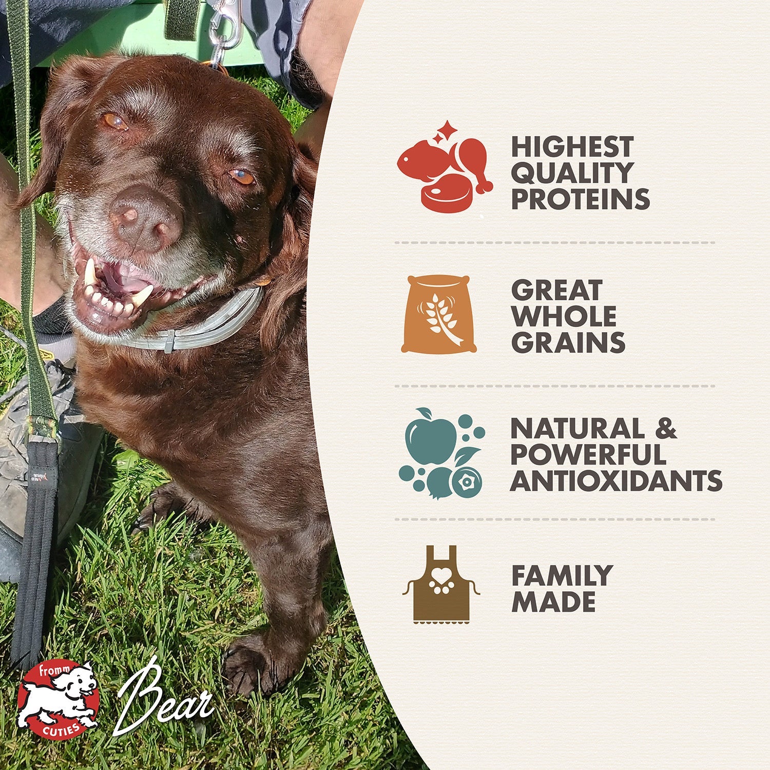 Fromm Cuties dog Bear with Classic Adult benefits: highest quality proteins, great whole grains, natural antioxidants, family made