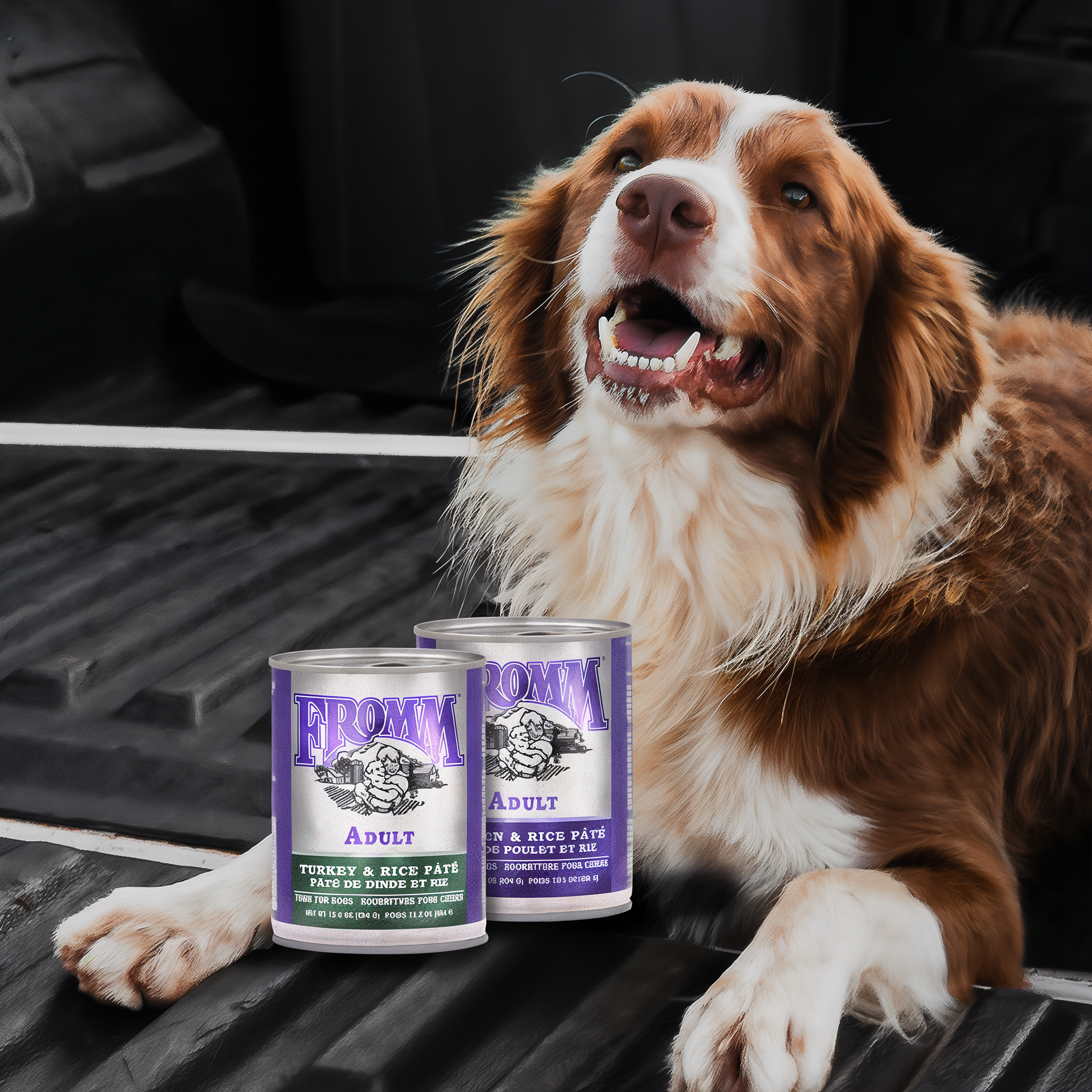 Dog resting in a truck bed behind cans of Fromm Classic Adult Turkey & Rice Pâté and Chicken & Rice Pâté