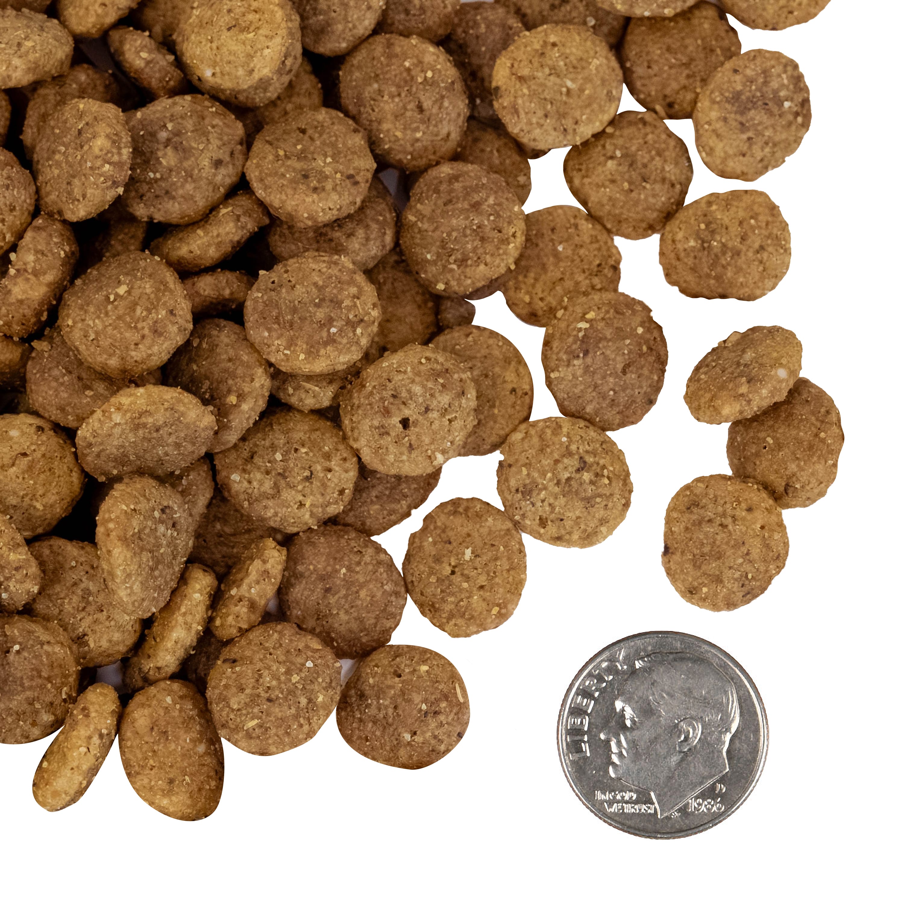 A small pile of Fromm Classic Adult Large and Giant Breed kibble next to a dime for scale