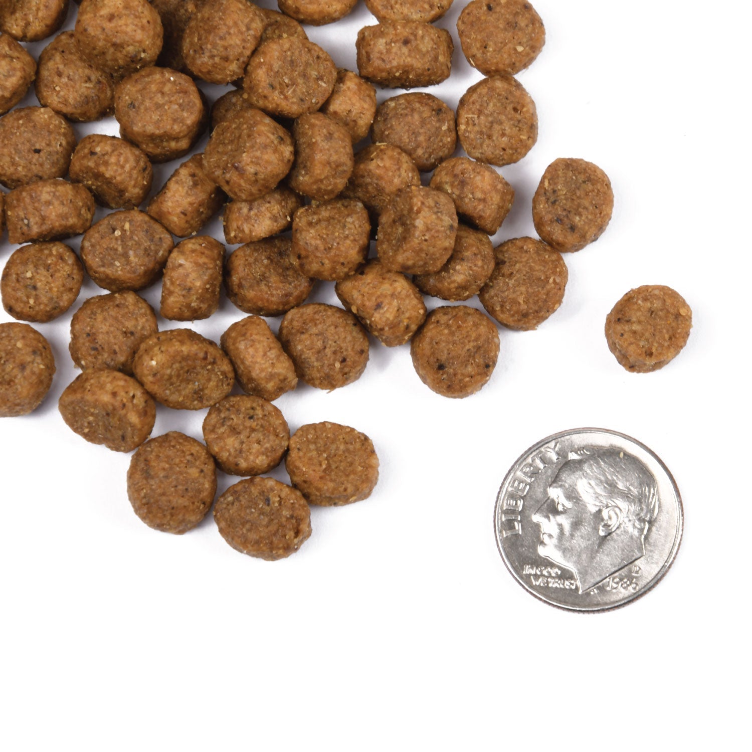 A small pile of Fromm Classic Puppy kibble next to a dime for scale