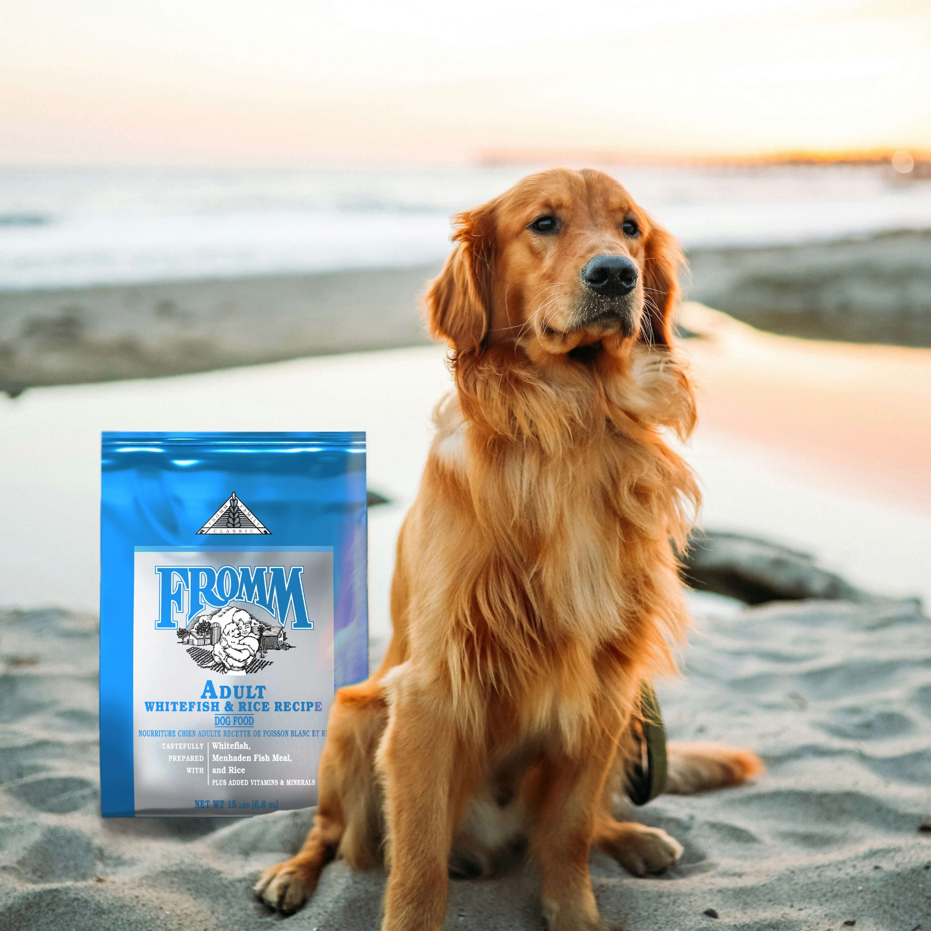 A golden retriever sitting on the sand beside a bag of Fromm Classic Whitefish and Rice