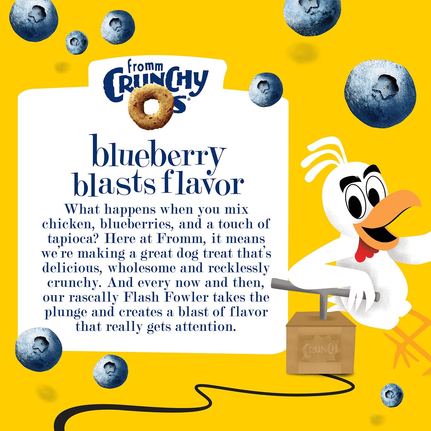 Blueberry Blasts flavor story with Fromm's daredevil chicken mascot Flash Fowler