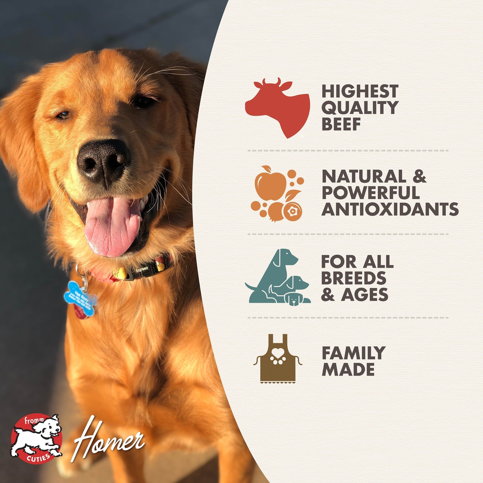 Fromm Cuties dog Homer with Morning Hash benefits: highest quality beef, natural and powerful antioxidants, for all breeds and ages, family made
