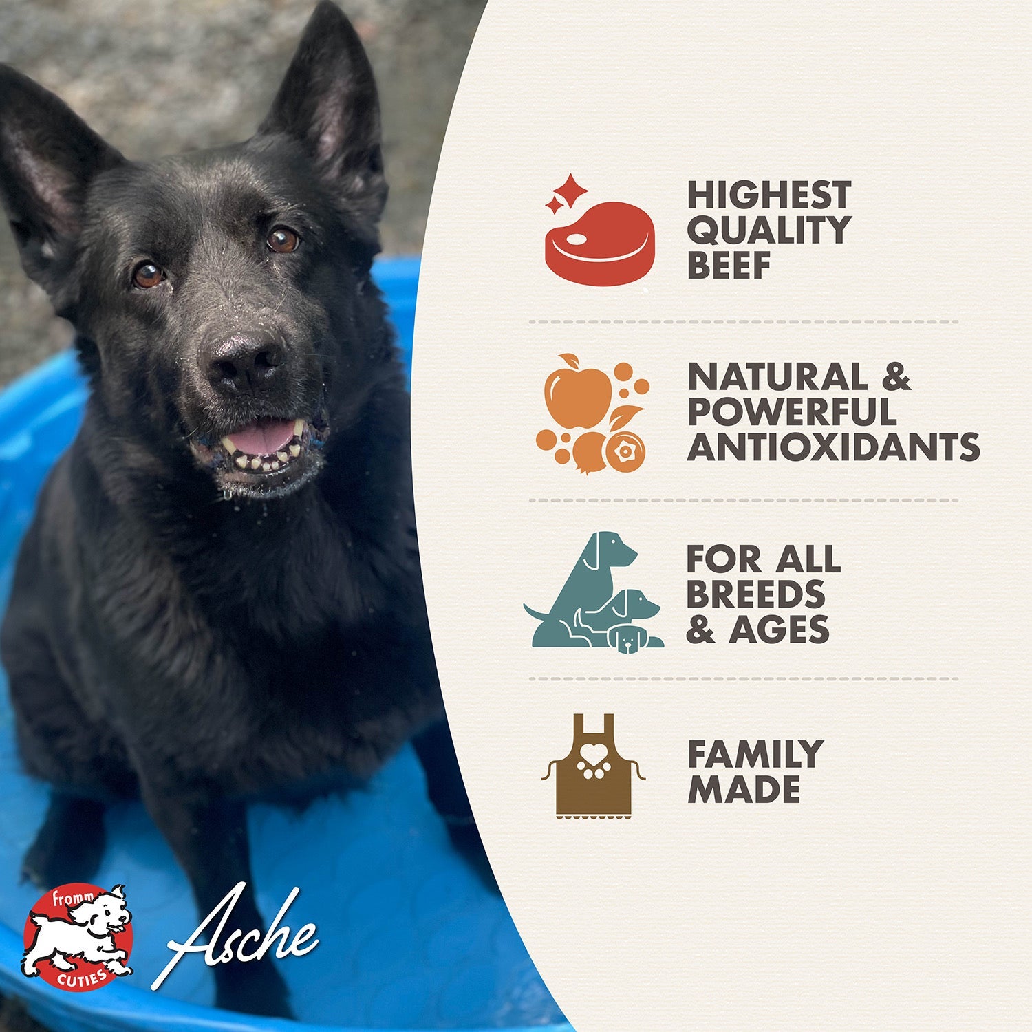 Fromm Cuties dog Asche with Diner Favorites benefits: highest quality beef, natural antioxidants, for all breeds and ages, family made