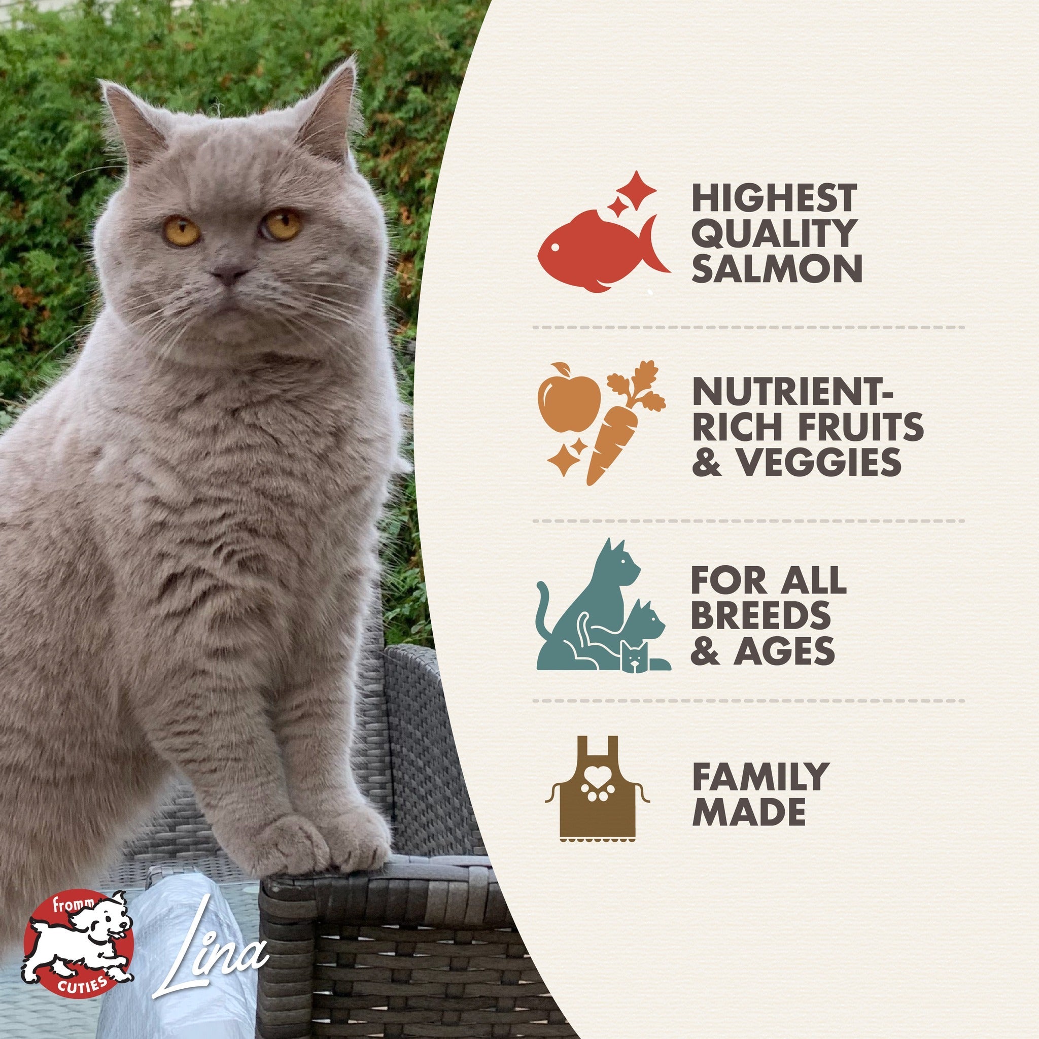 Fromm Four-Star Salmon Tunachovy benefits: highest quality salmon, nutrient-rich fruits and veggies, for all breeds and ages, family made, with cat Lina from the Fromm Cuties gallery
