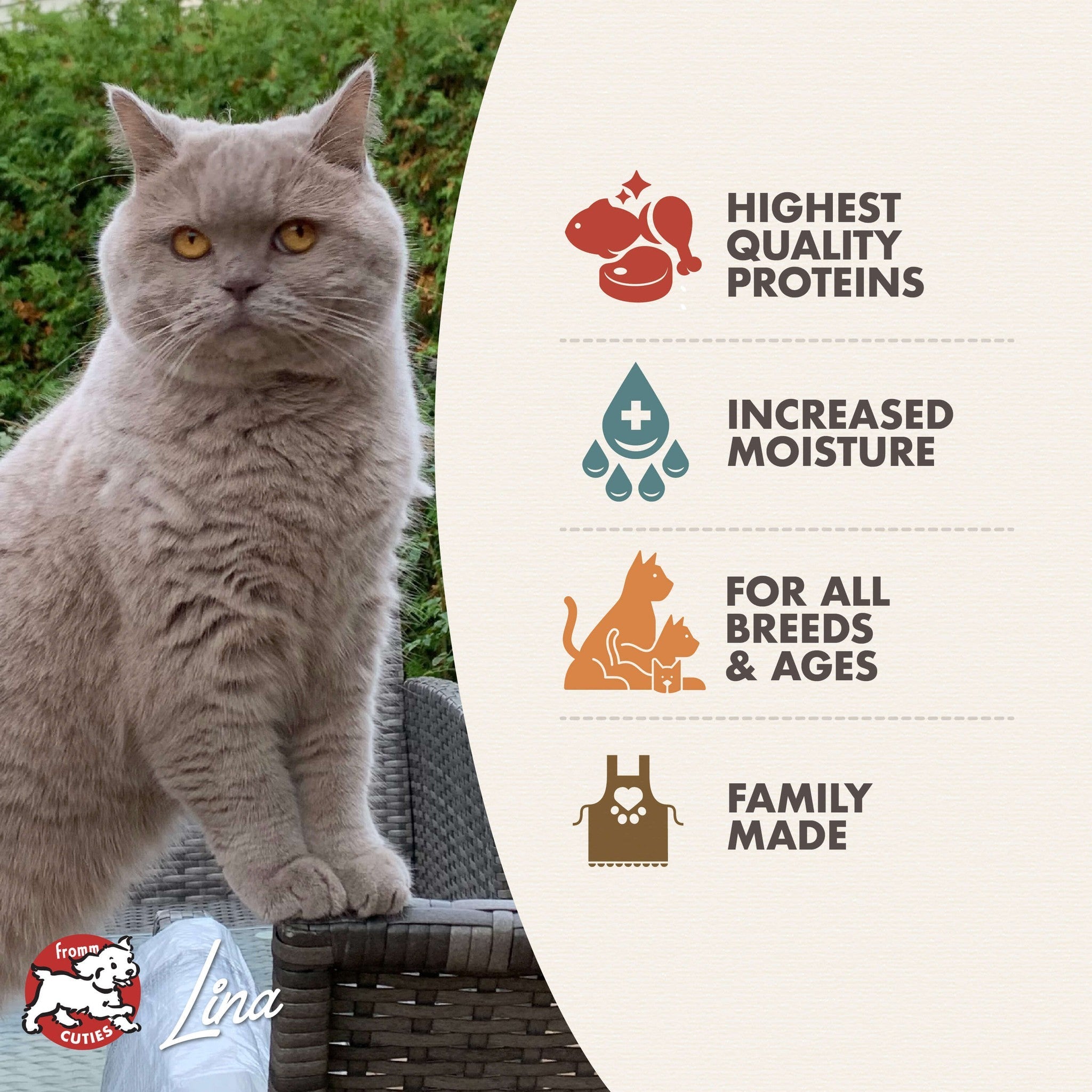 Fromm Cuties cat Lina with Four-Star canned cat food benefits: highest quality proteins, increased moisture, for all breeds and ages, family made