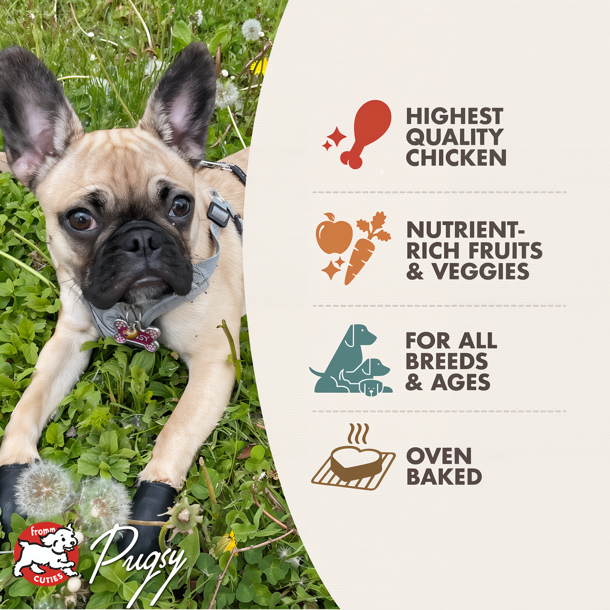 Fromm Cuties dog Pugsy with Four-Star treat benefits: highest quality chicken, nutrient-rich fruits and veggies, for all breeds and ages, oven baked