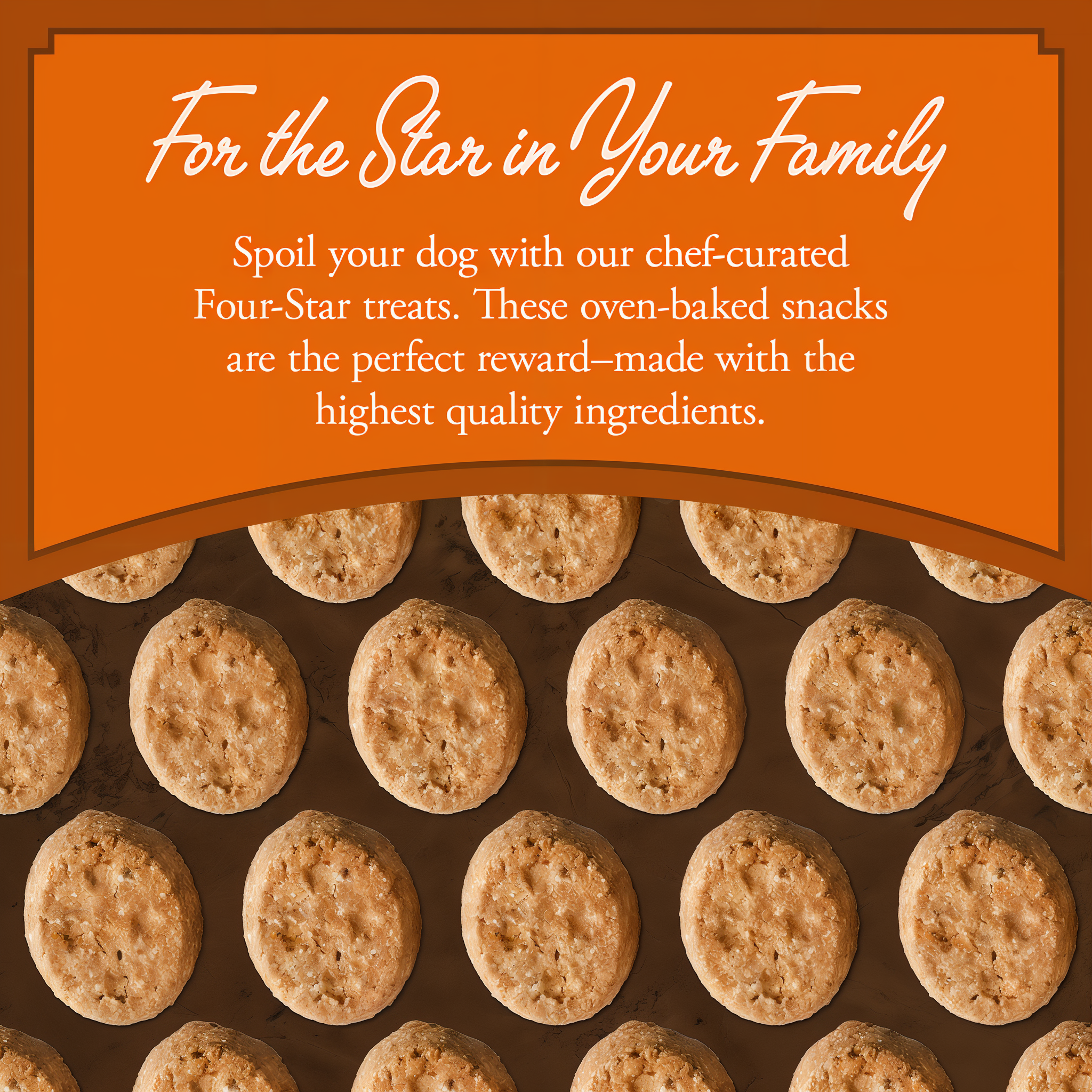 For the star in your family: chef-curated Fromm Four-Star oven-baked treats over a pattern of baked biscuits