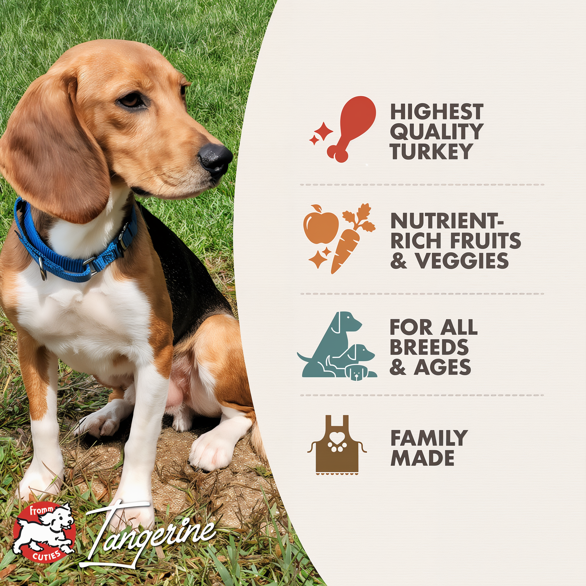 Fromm Game Bird Recipe benefits: grain-free turkey and goose recipe for all ages