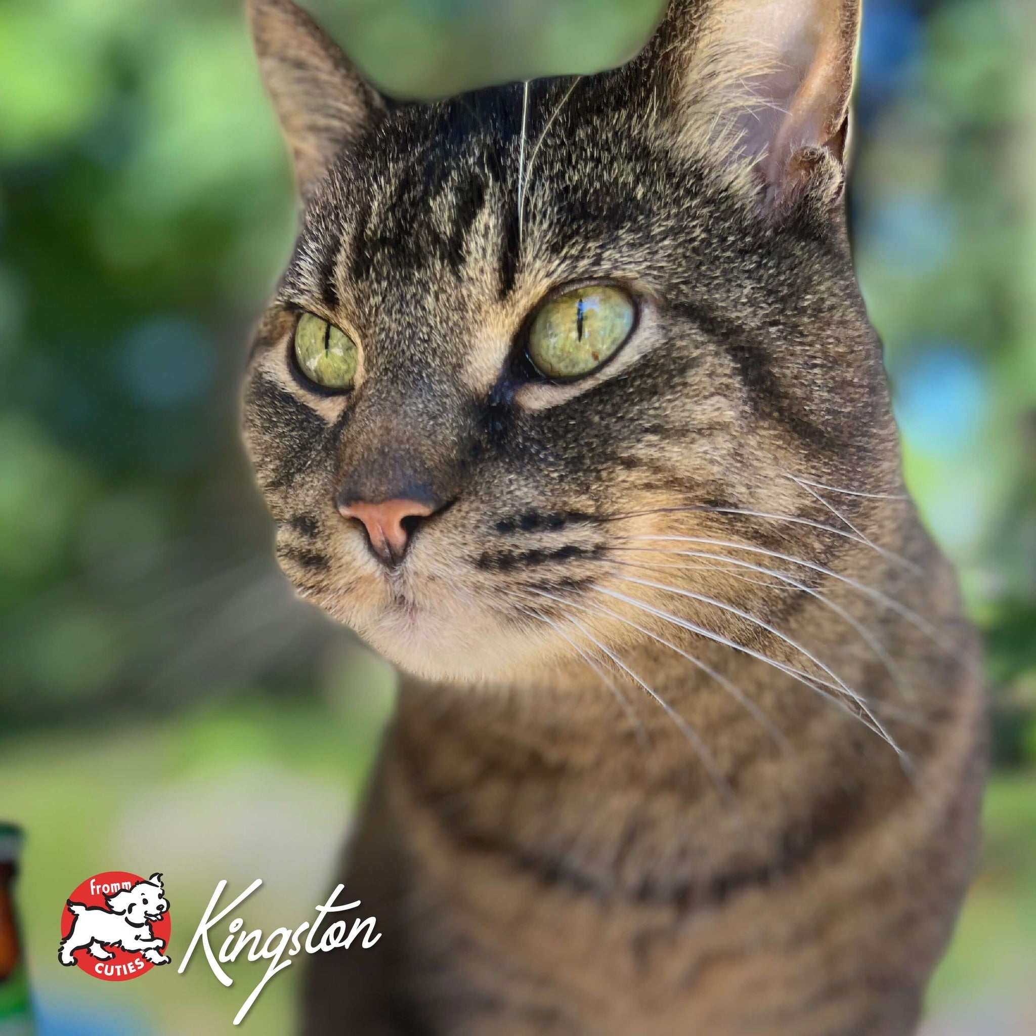 Cat Kingston outdoors among greenery, from the Fromm Cuties gallery