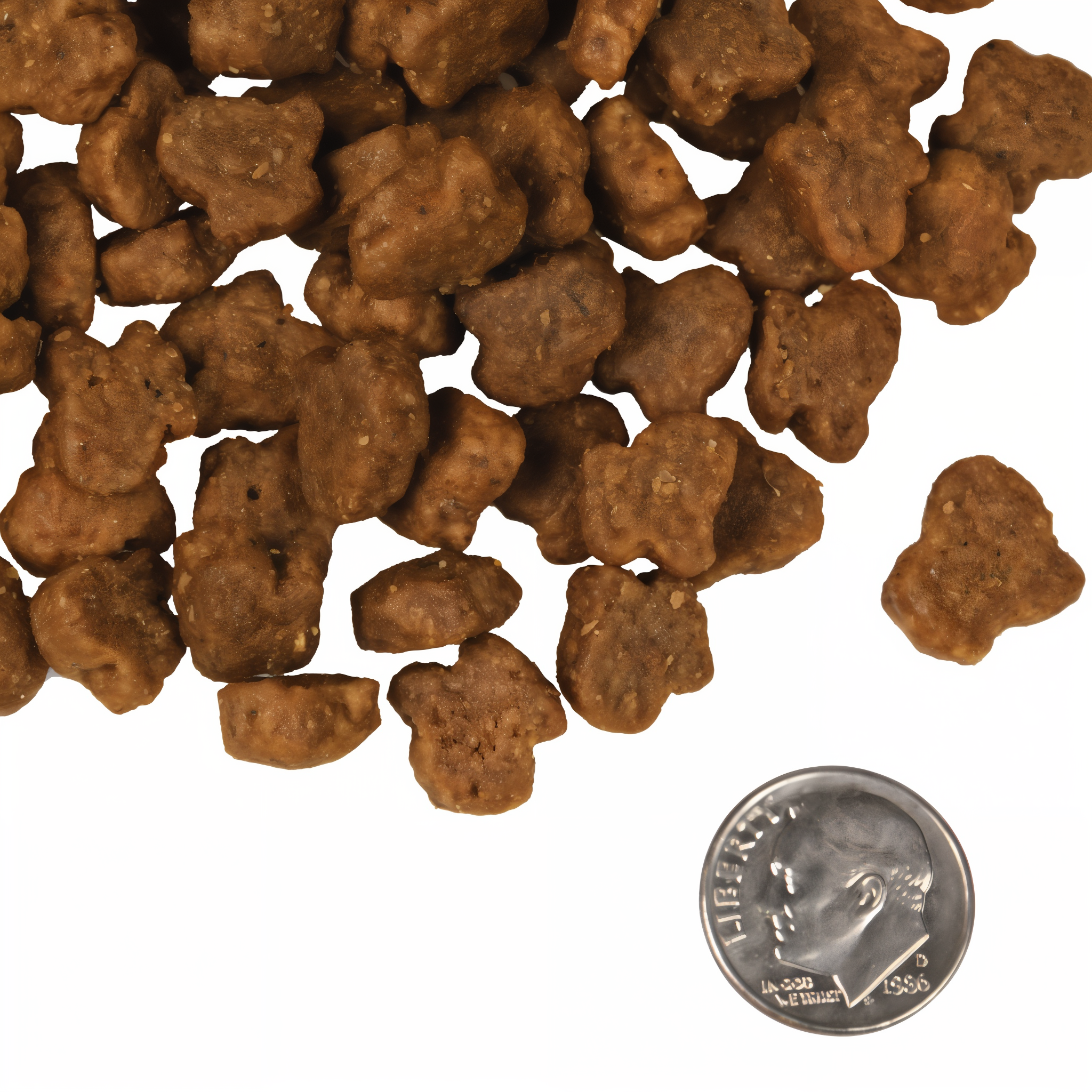 A small pile of Fromm Hasen Duckenpfeffer kibble next to a dime for scale
