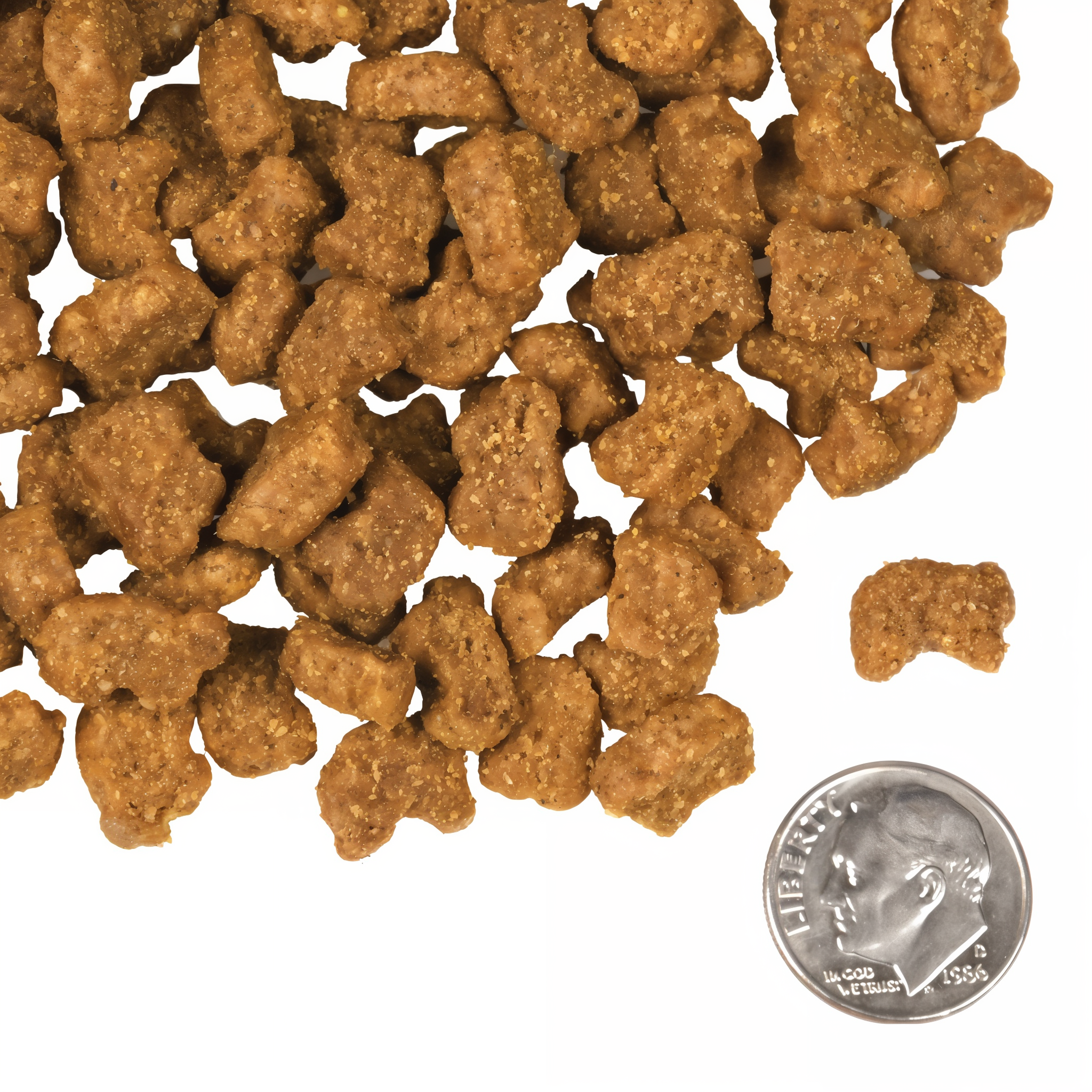 A small pile of Fromm Lamb and Lentil kibble next to a dime for scale
