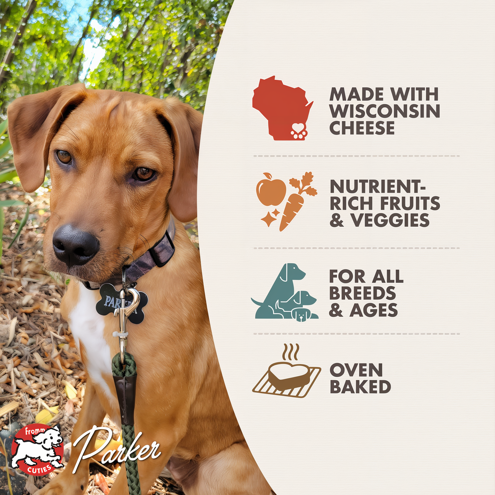 Fromm Cuties dog Parker with Four-Star treat benefits: made with Wisconsin cheese, nutrient-rich fruits and veggies, for all breeds and ages, oven baked