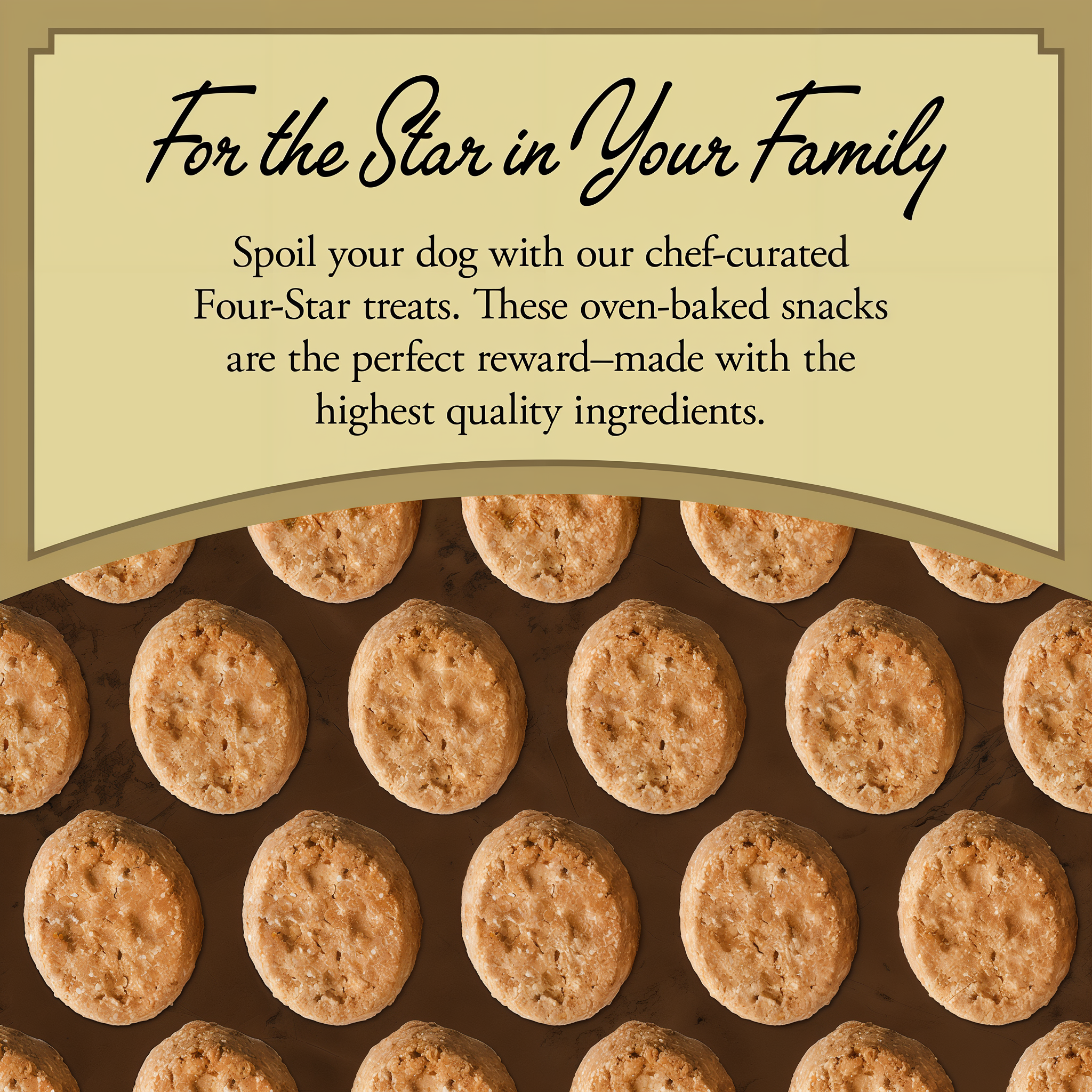 For the star in your family: chef-curated Fromm Four-Star oven-baked treats made with the highest quality ingredients